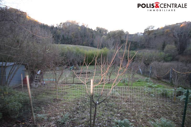 Terreno Agricolo in vendita a Venarotta
