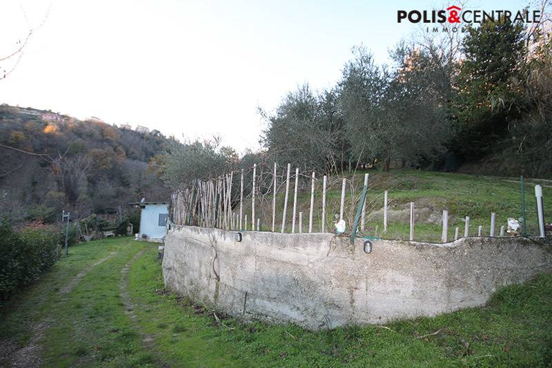 Terreno Agricolo in vendita a Venarotta