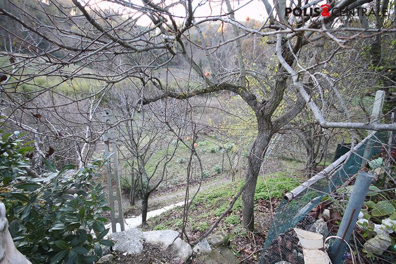 Terreno Agricolo in vendita a Venarotta