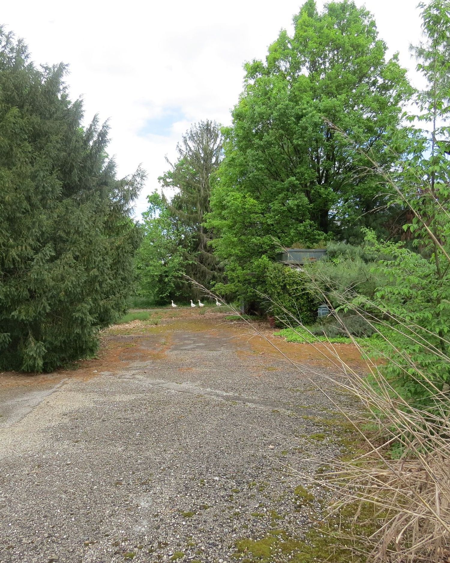 Villa in vendita in via forgaria 0, Udine