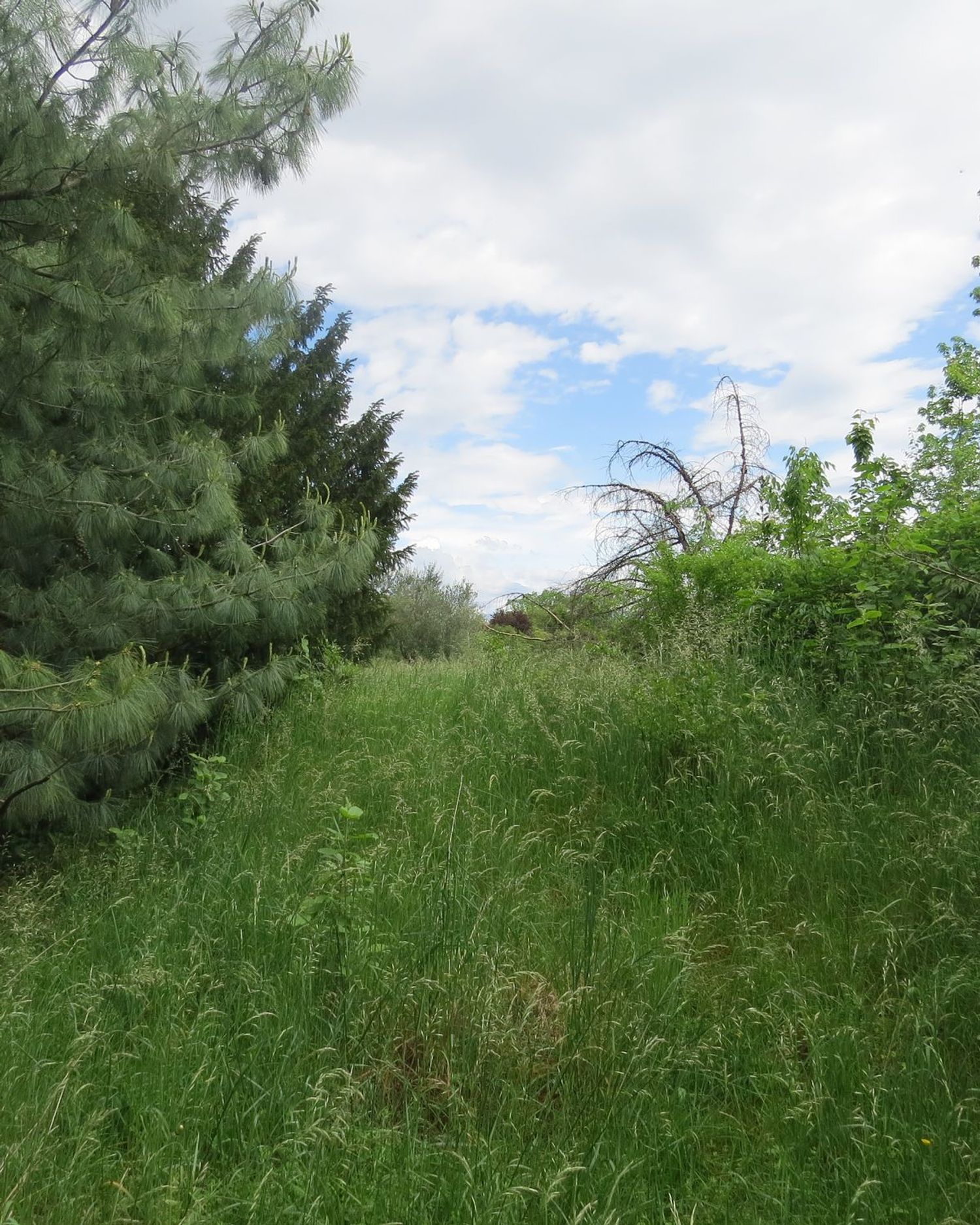 Villa in vendita in via forgaria 1, Udine