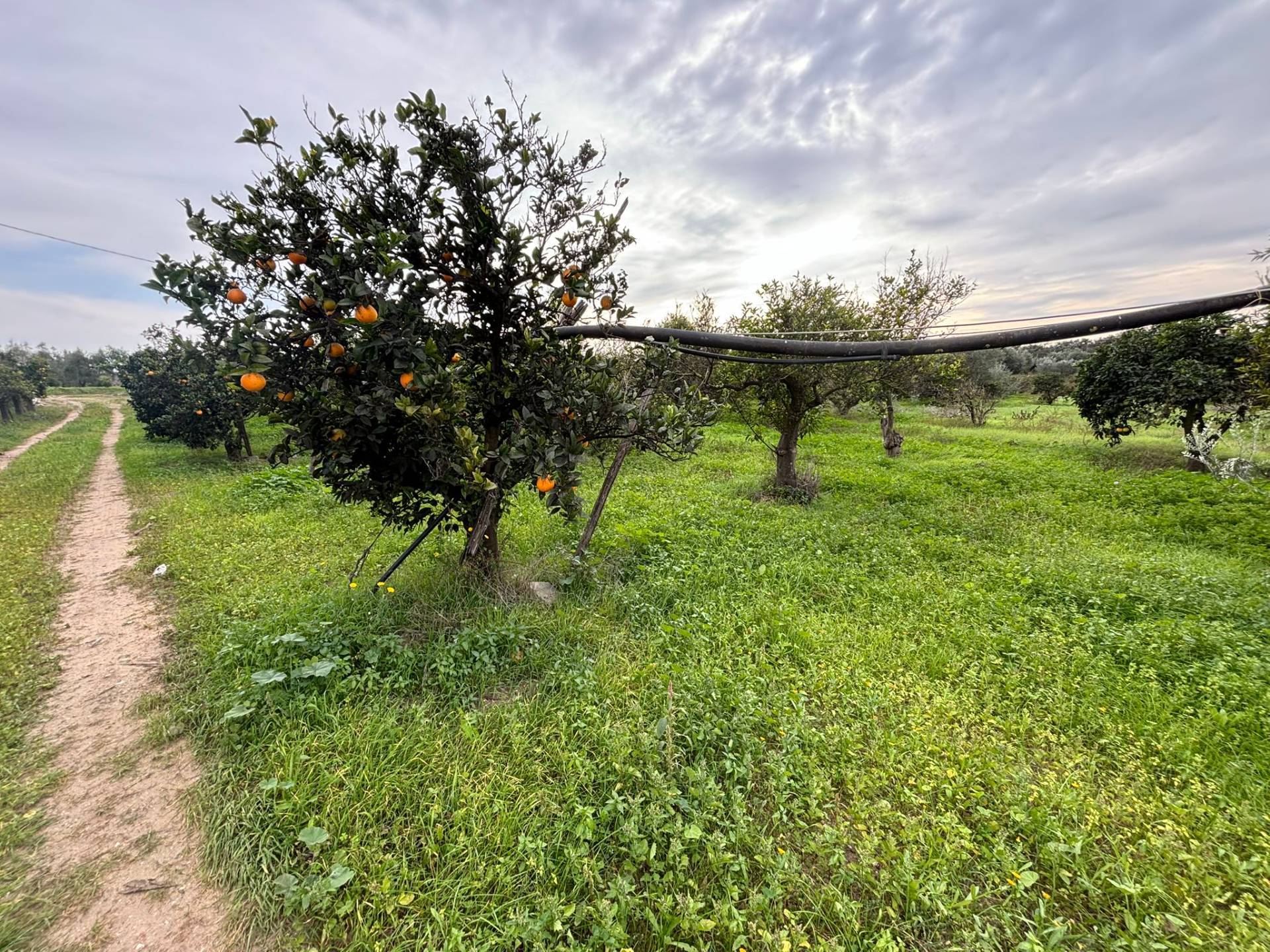 Rustico in vendita a Massafra, Marina di Ferrara