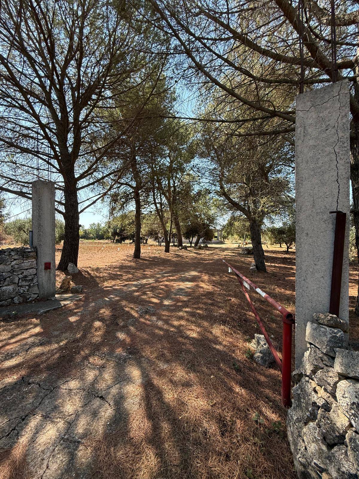 Villa in vendita a Massafra, Zona Cernera