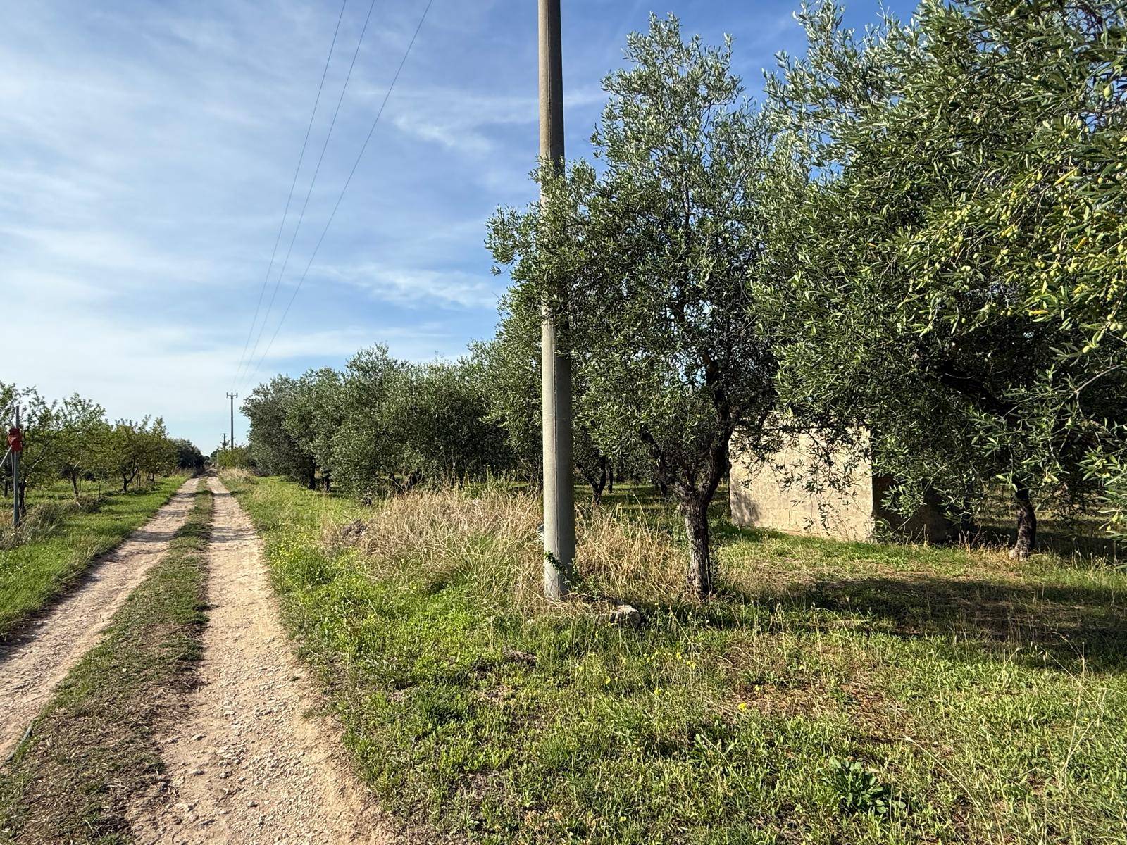 Terreno Agricolo in vendita a Crispiano, Contrada Triglie