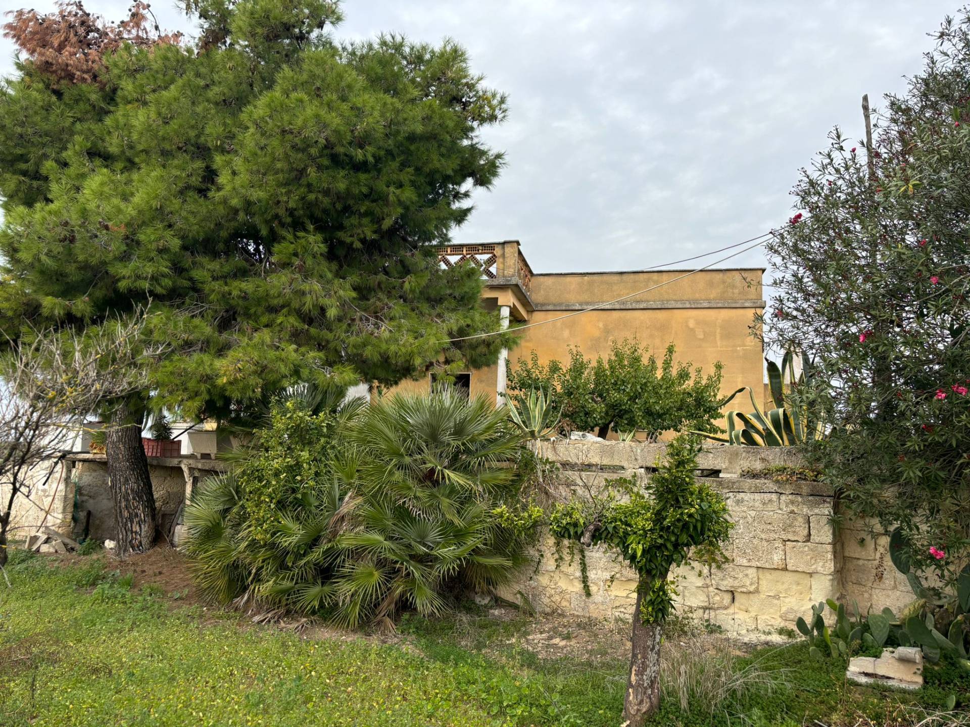 Rustico in vendita a Massafra, Marina di Ferrara