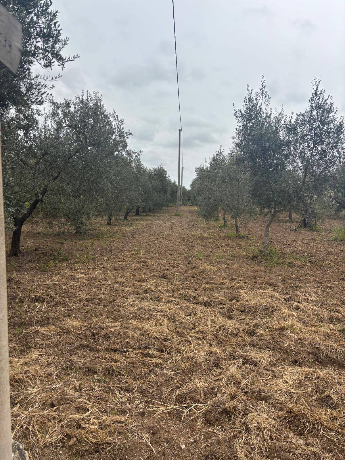 Terreno Agricolo in vendita a Massafra, Marina di Ferrara