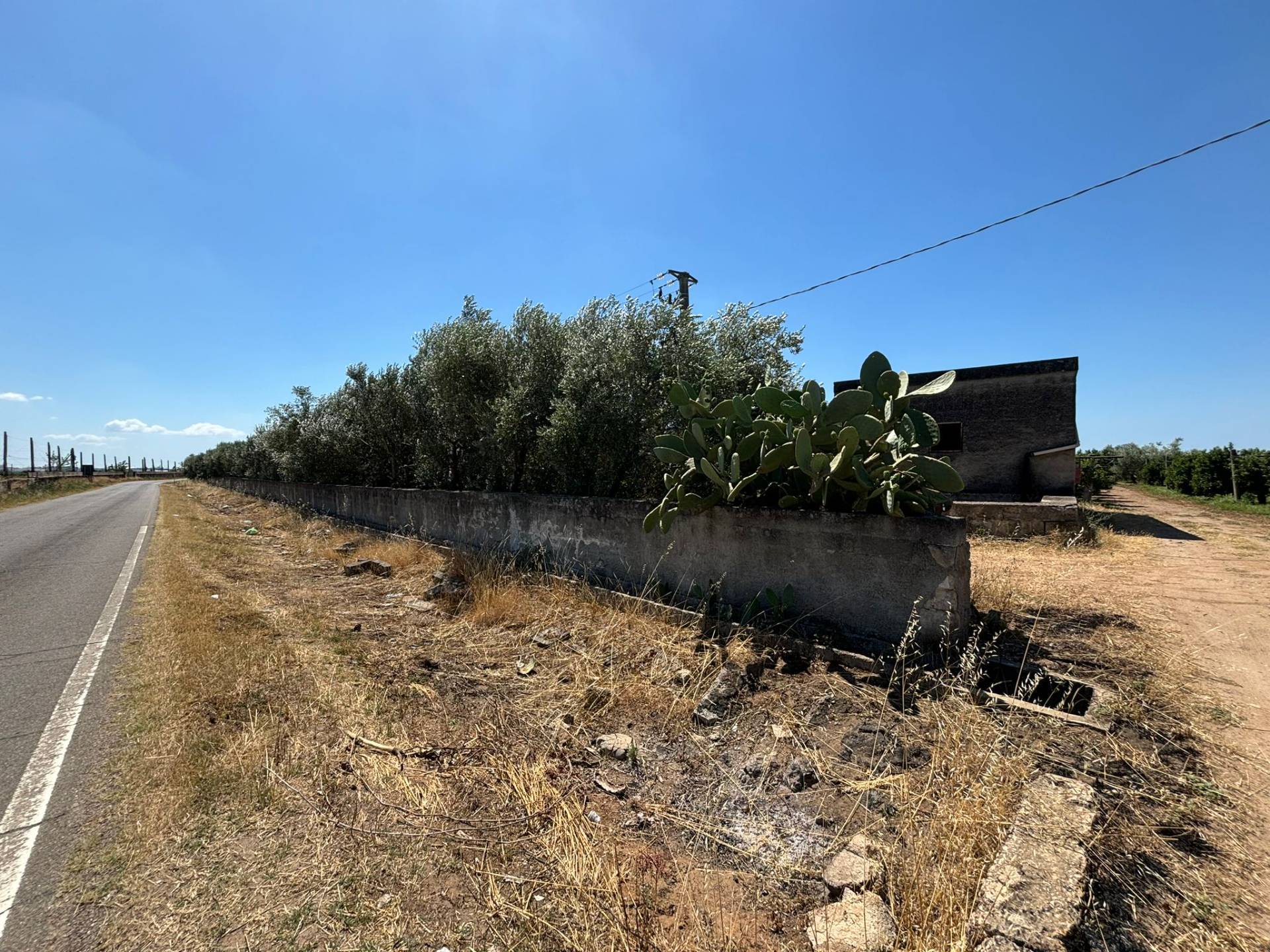 Terreno Agricolo in vendita a Massafra, Marina di Ferrara