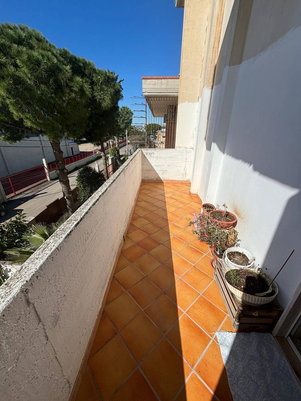 CAPANNONE E ABITAZIONE in vendita a Massafra