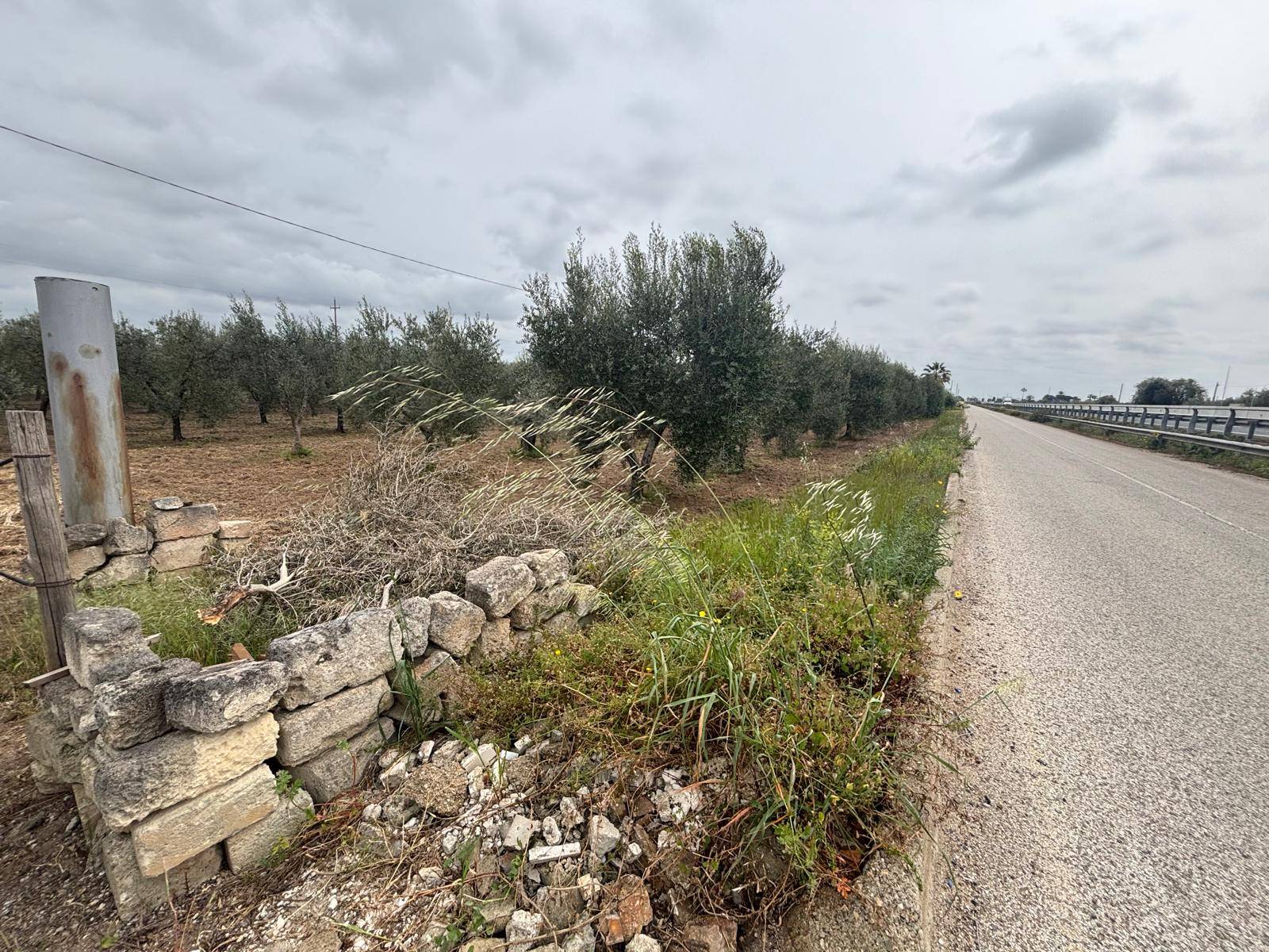 Terreno Agricolo in vendita a Massafra, Marina di Ferrara