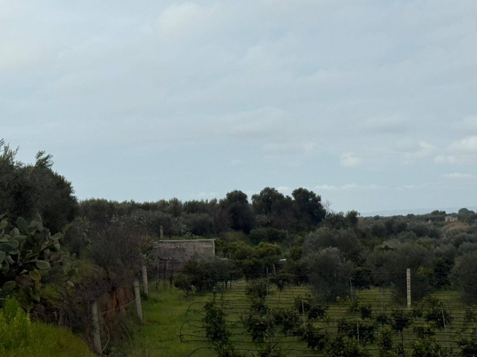 Terreno Agricolo in vendita a Massafra, Marina di Ferrara