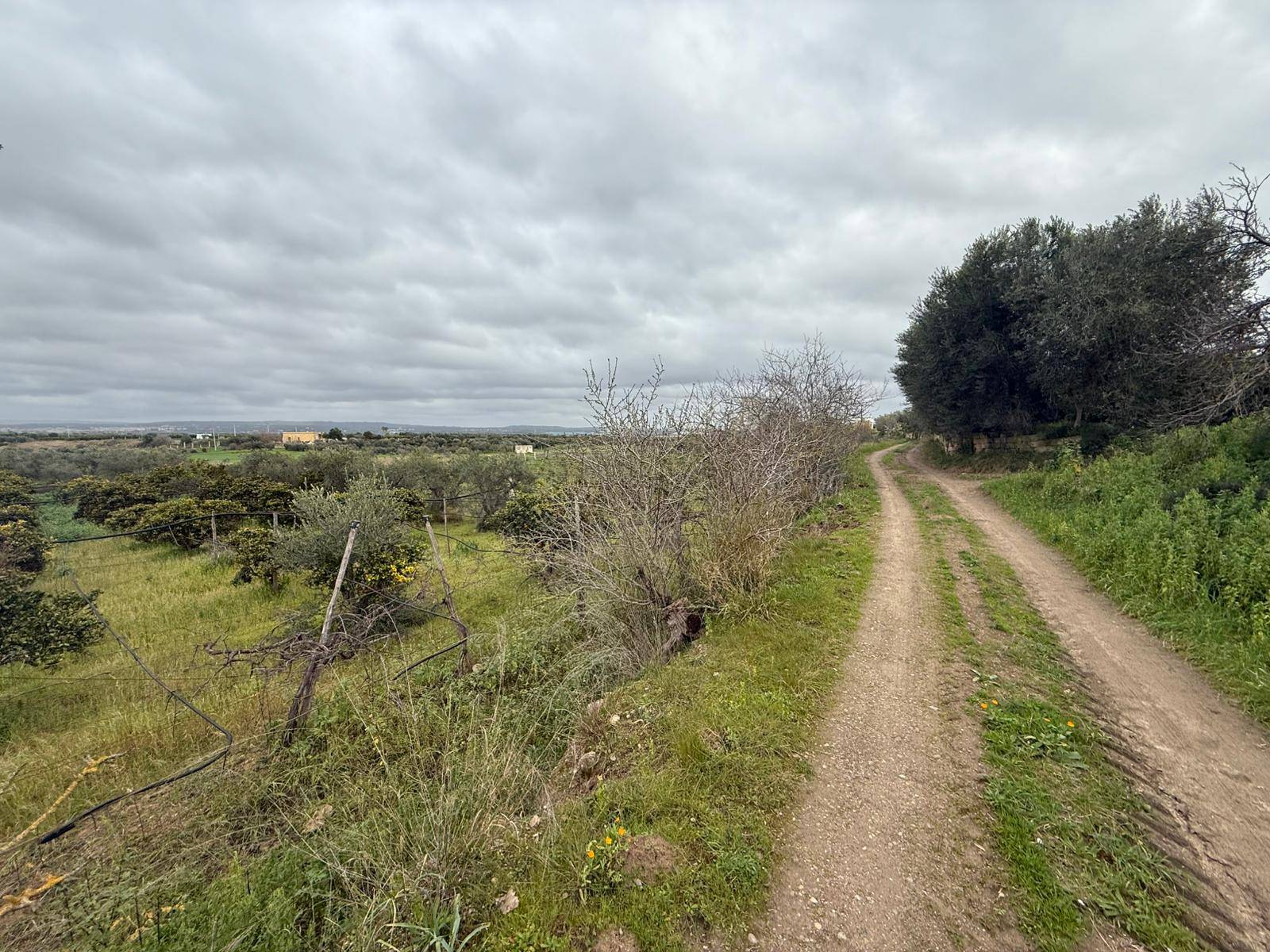 Terreno Agricolo in vendita a Massafra, Marina di Ferrara