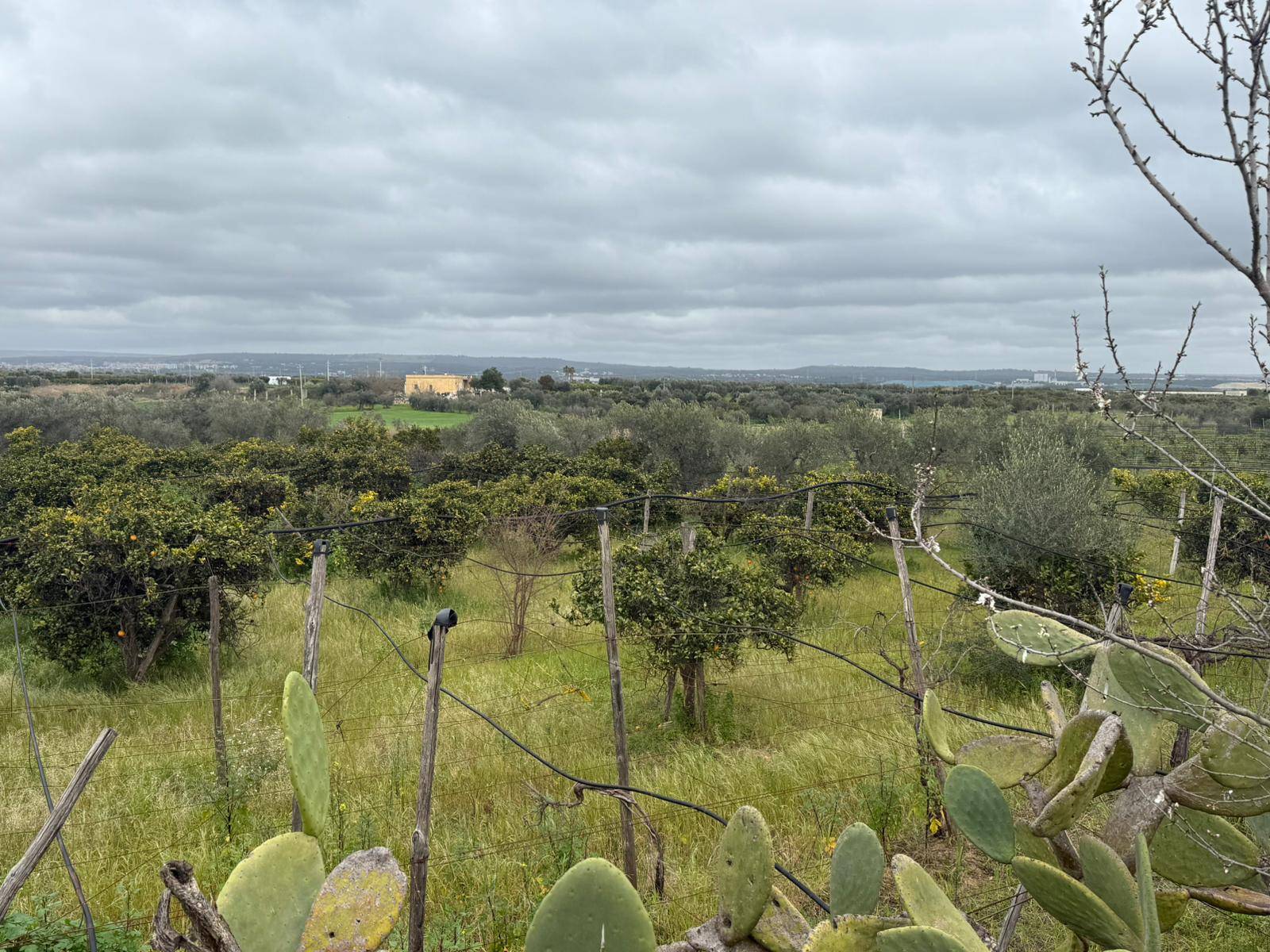 Terreno Agricolo in vendita a Massafra, Marina di Ferrara