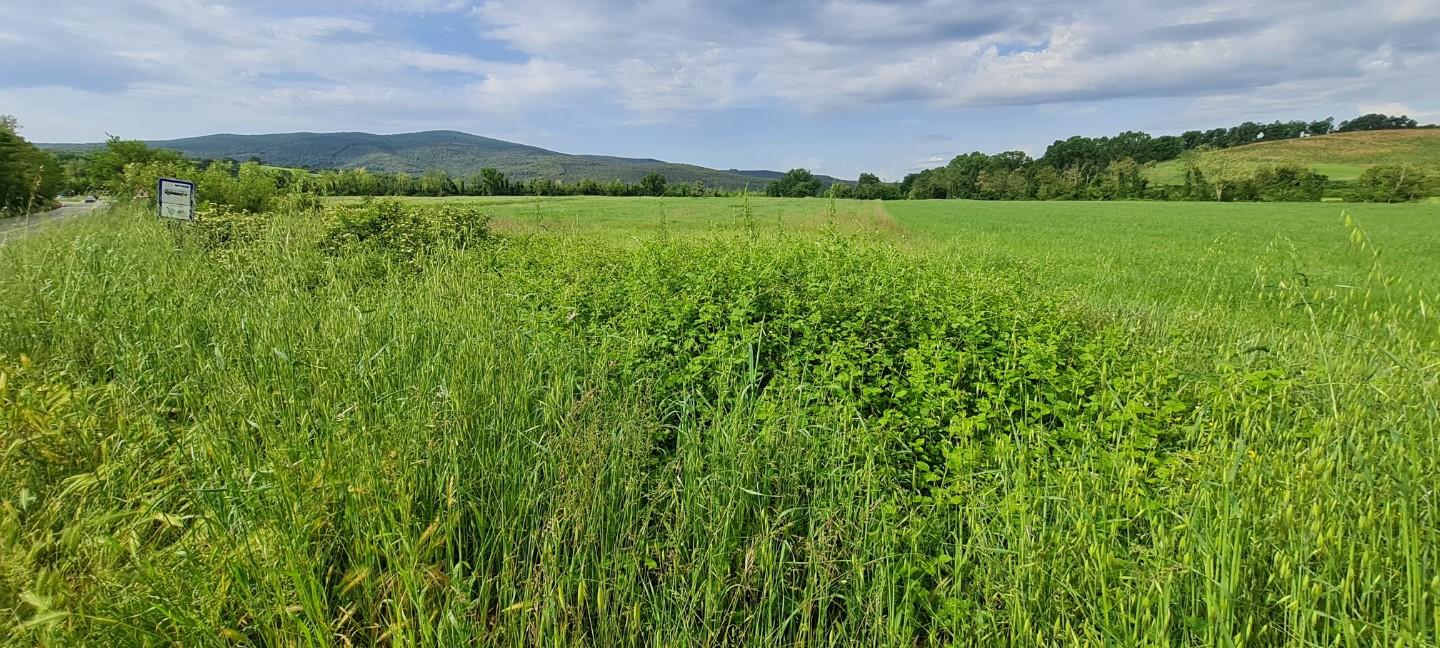 Terreno Agricolo in vendita, Monteriggioni castellina scalo