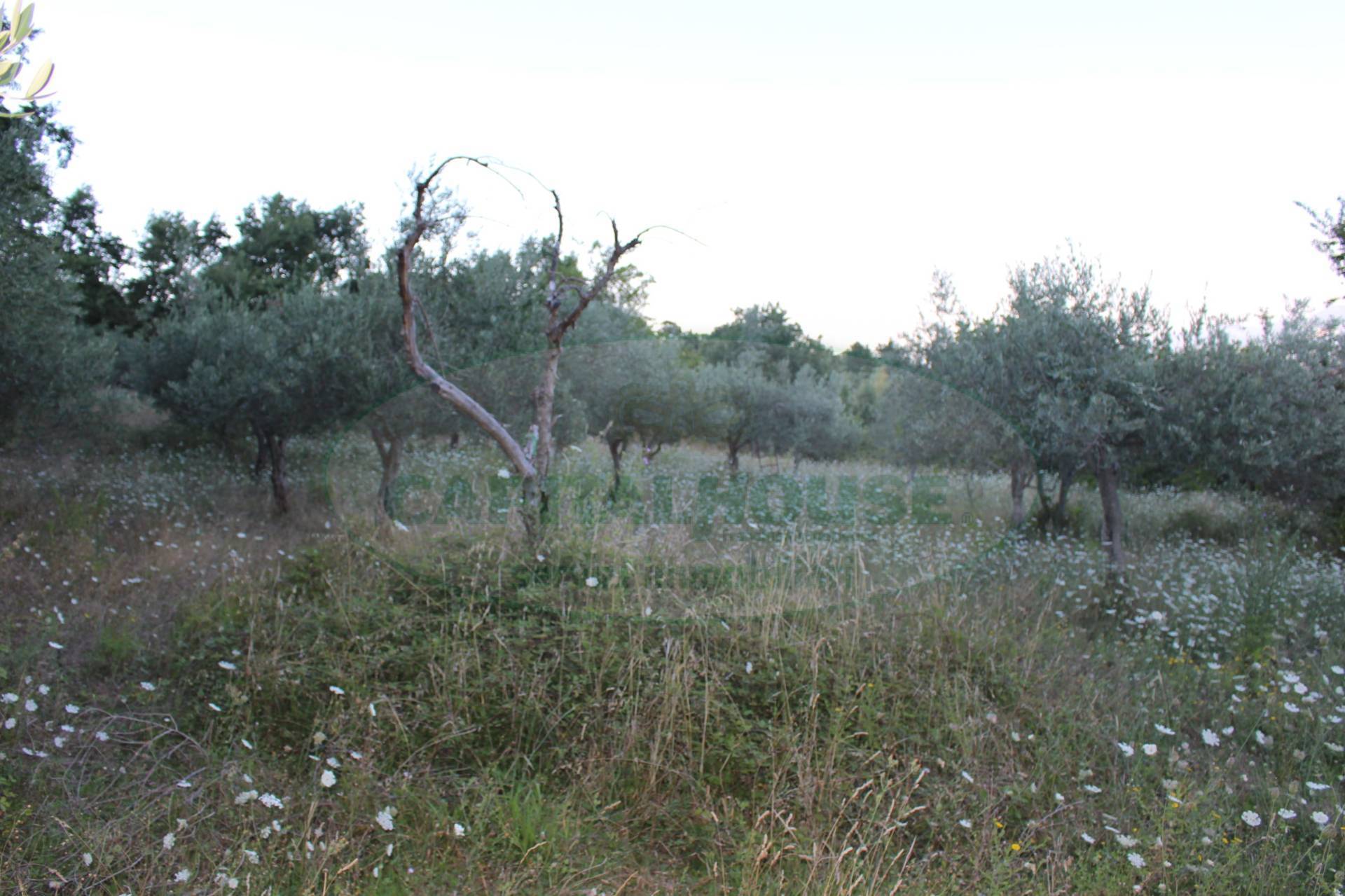 Terreno in vendita a Sant'Angelo a Scala