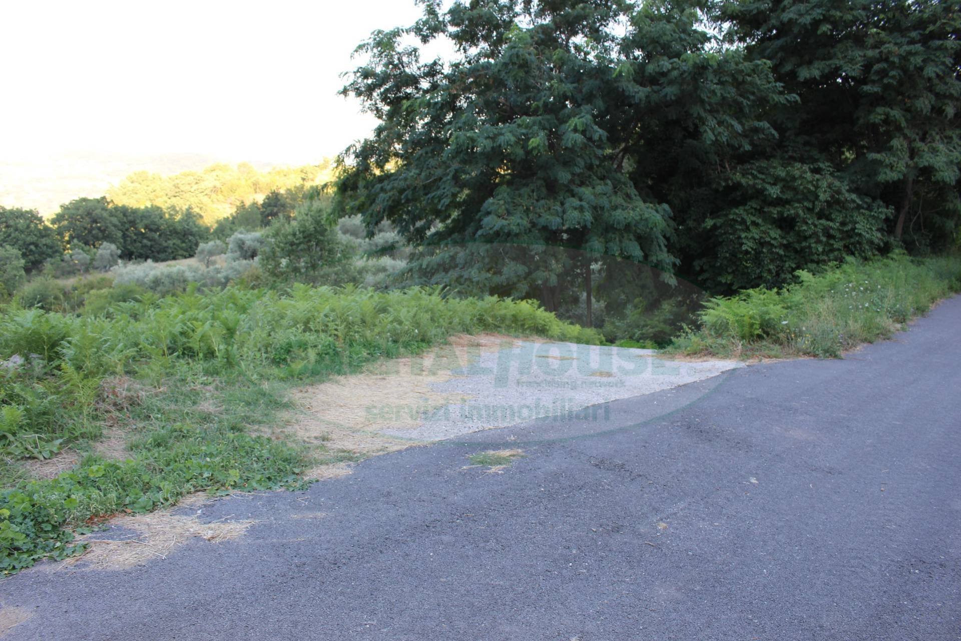 Terreno agricolo in vendita a Sant'Angelo a Scala