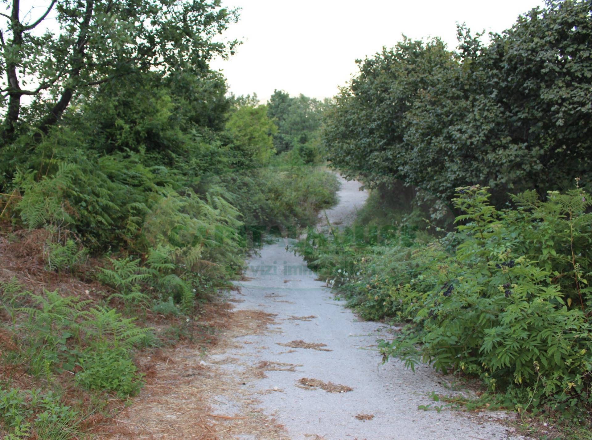 Terreno agricolo in vendita a Sant'Angelo a Scala