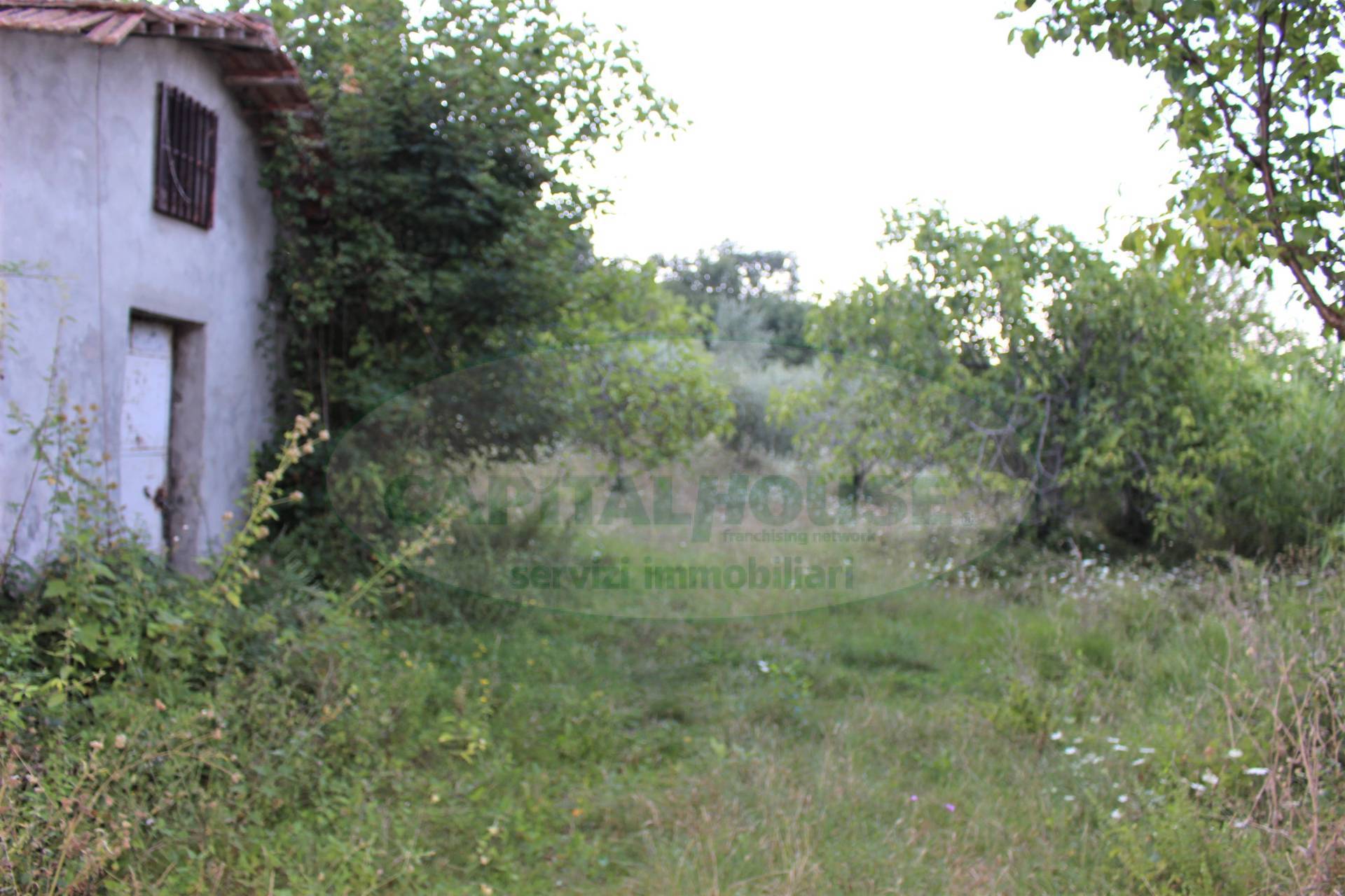 Terreno agricolo in vendita a Sant'Angelo a Scala