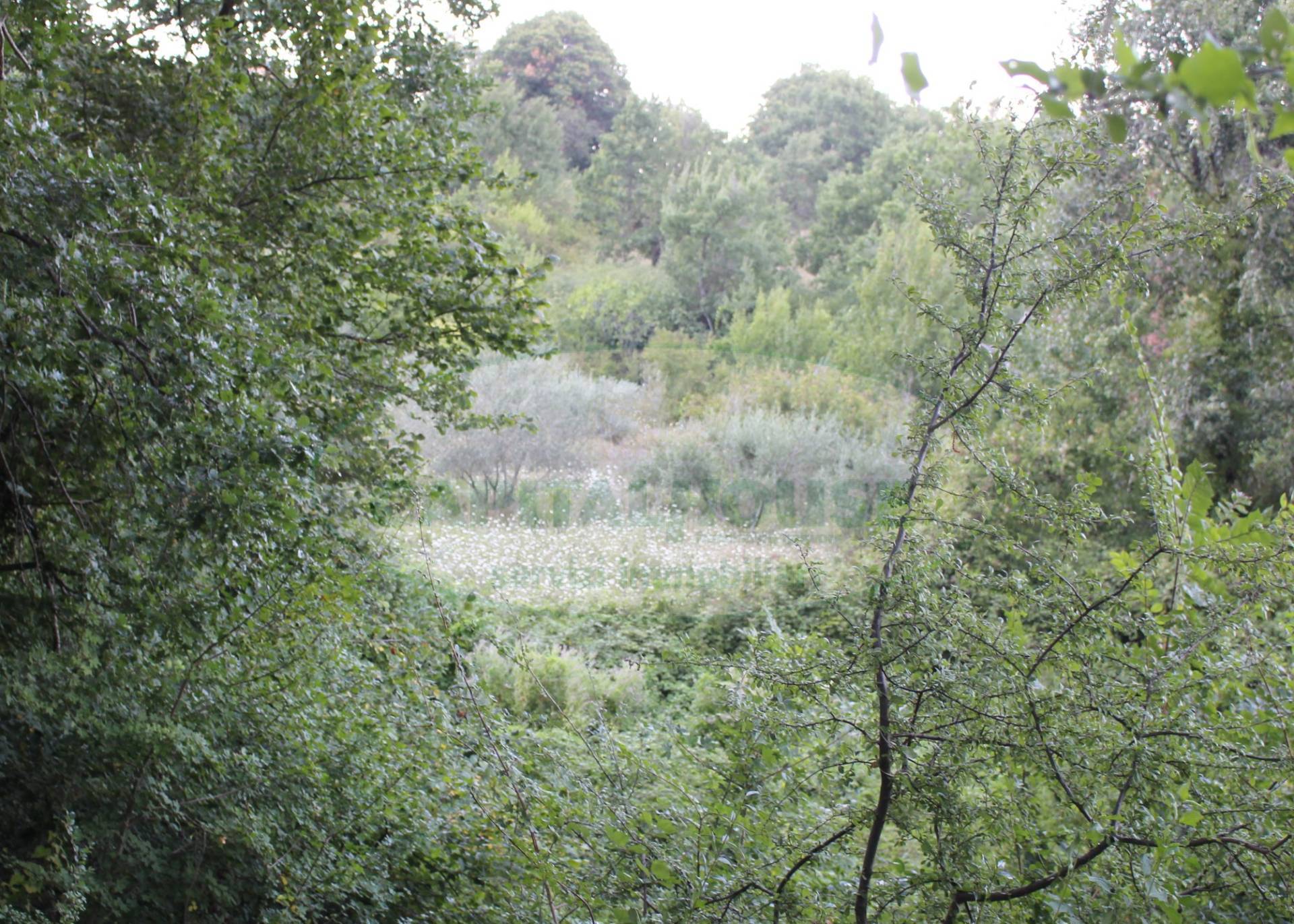 Terreno agricolo in vendita a Sant'Angelo a Scala