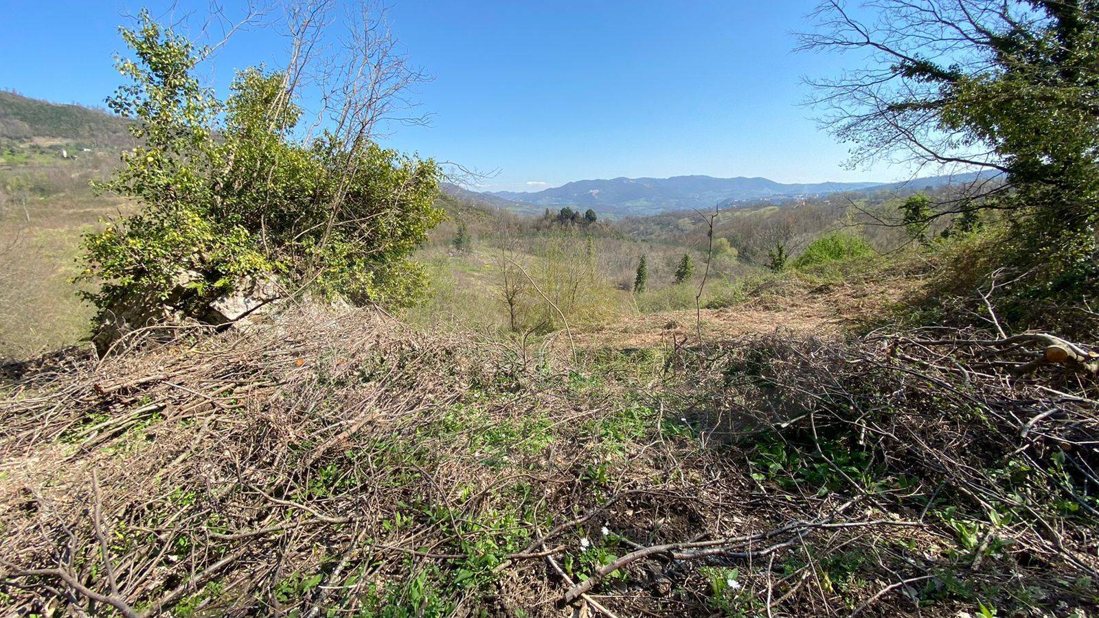 Terreno agricolo in vendita a Pietrastornina