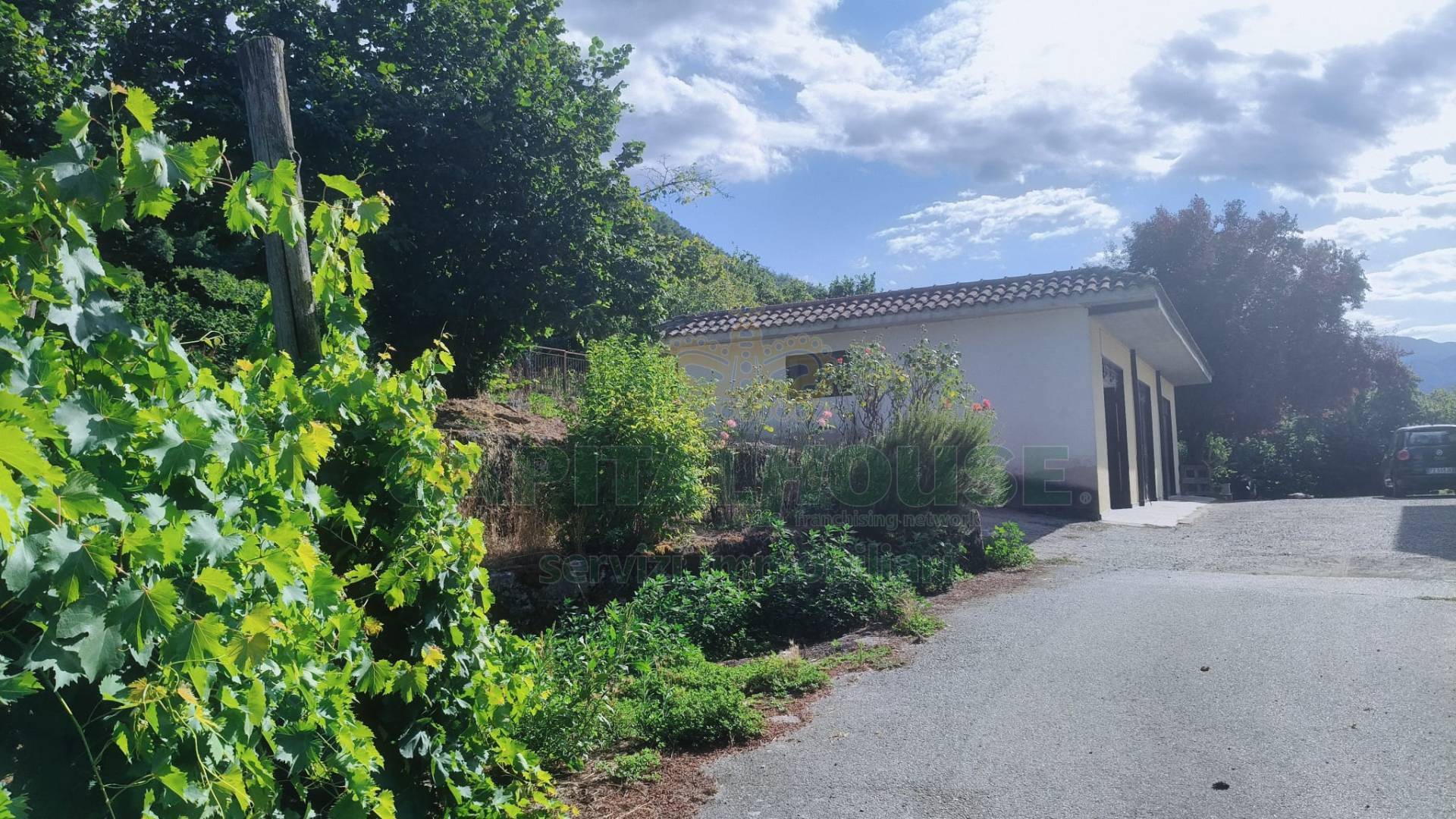 Tenuta in vendita a Altavilla Irpina