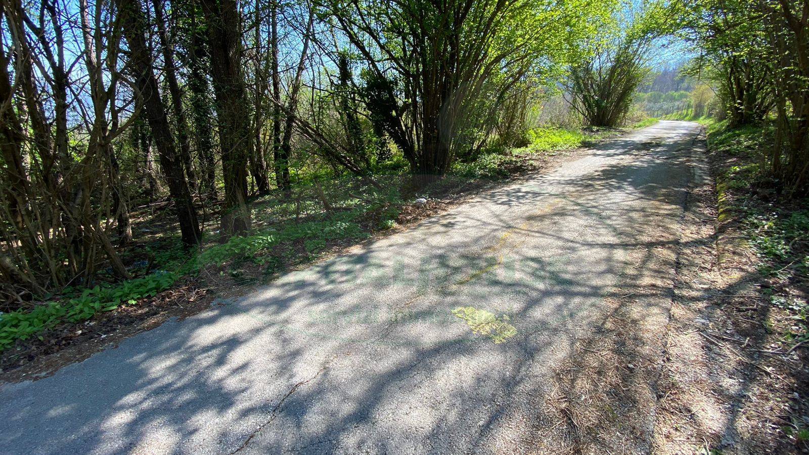 Terreno agricolo in vendita a Pietrastornina