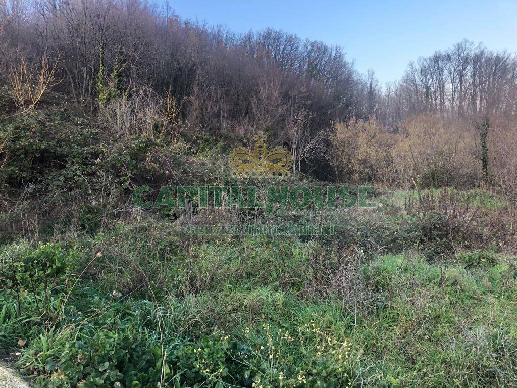 Terreno agricolo in vendita a Capriglia Irpina