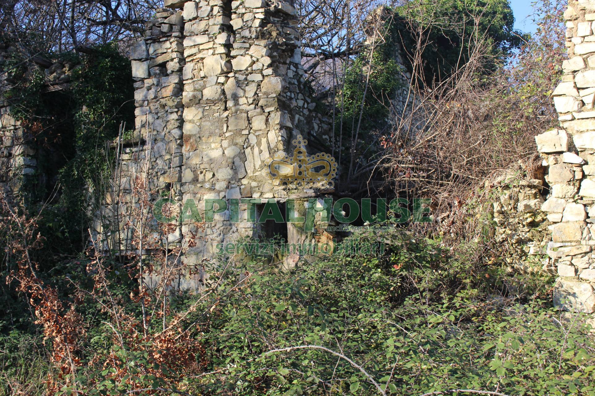 Terreno agricolo - Rudere in vendita a Capriglia Irpina