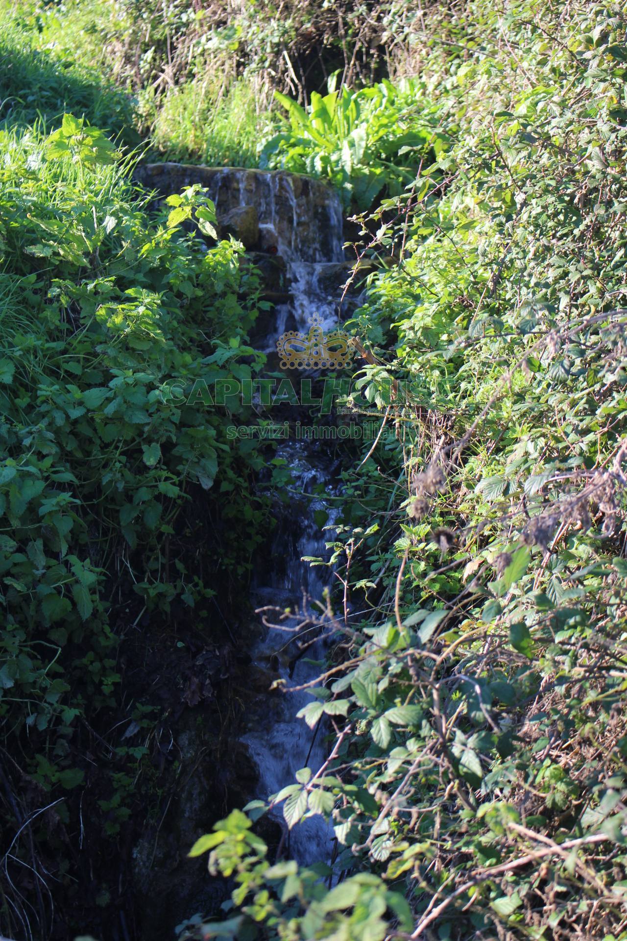Terreno agricolo - Rudere in vendita a Capriglia Irpina