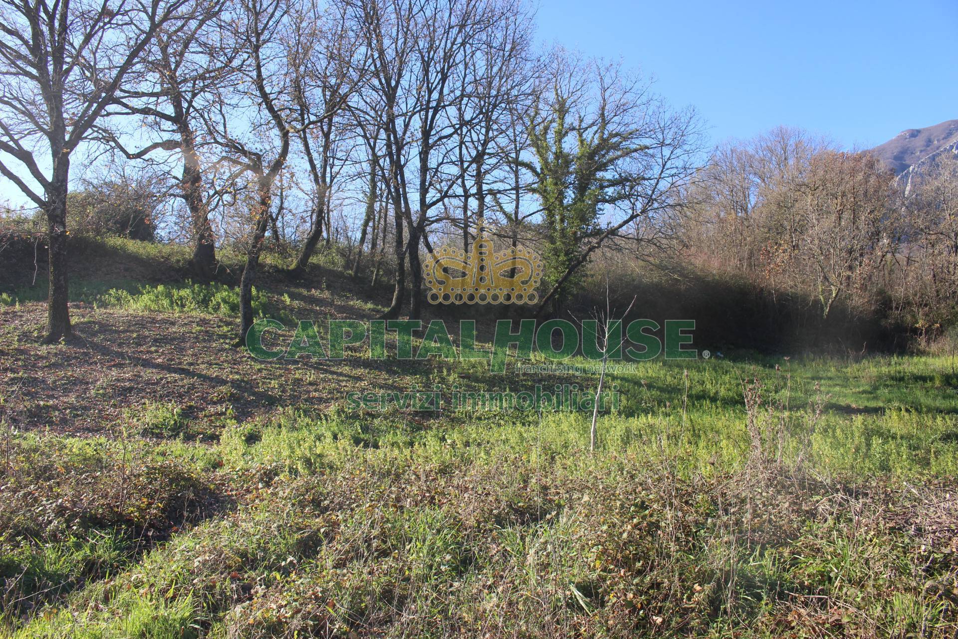 Terreno agricolo - Rudere in vendita a Capriglia Irpina