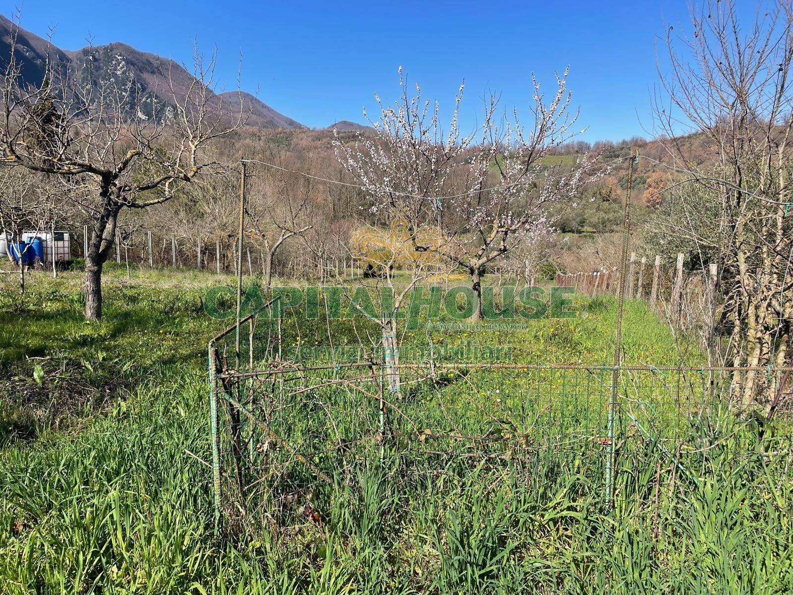 Terreno agricolo in vendita a Sant'Angelo a Scala
