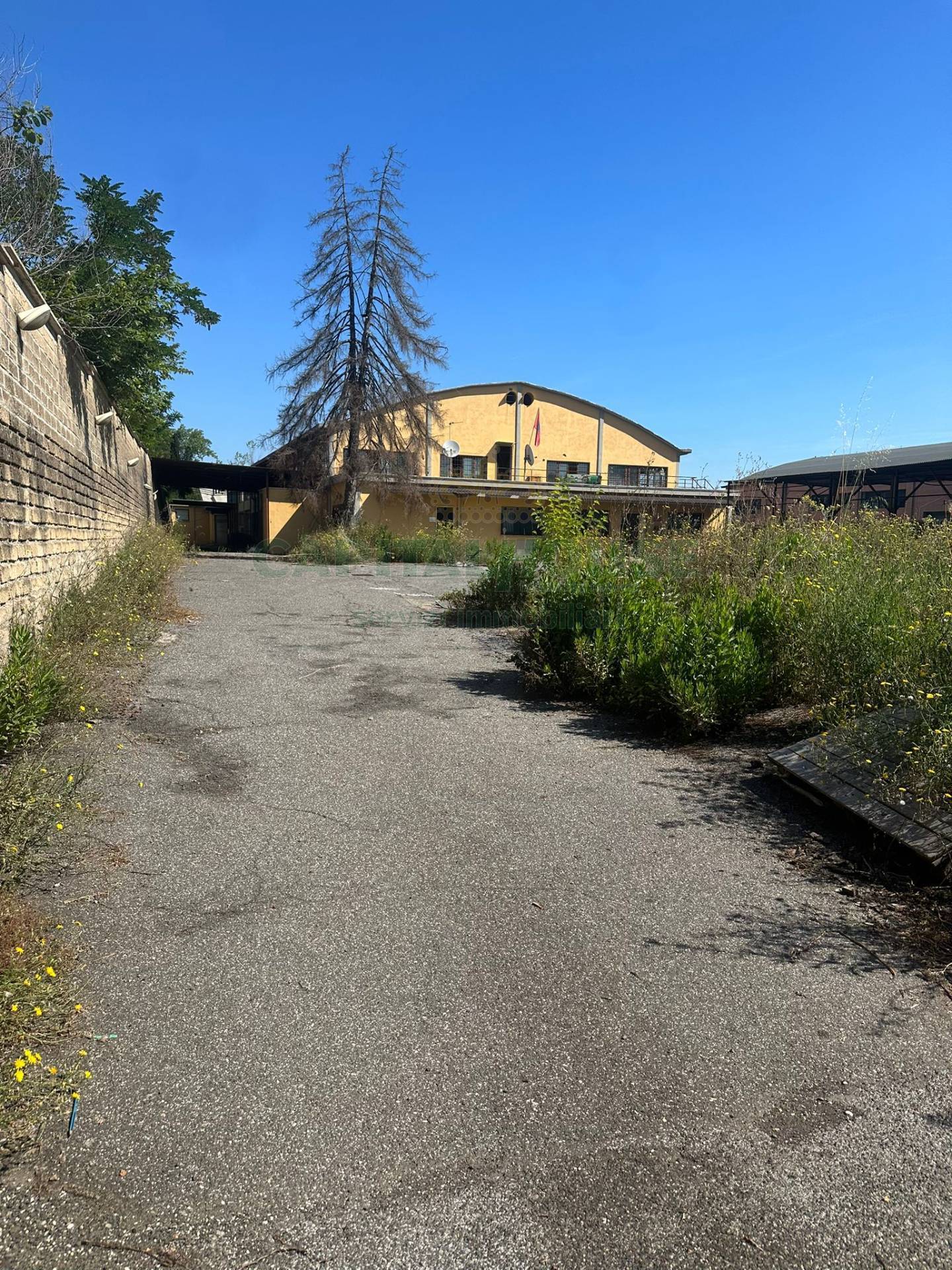 Capannone in vendita a Roma