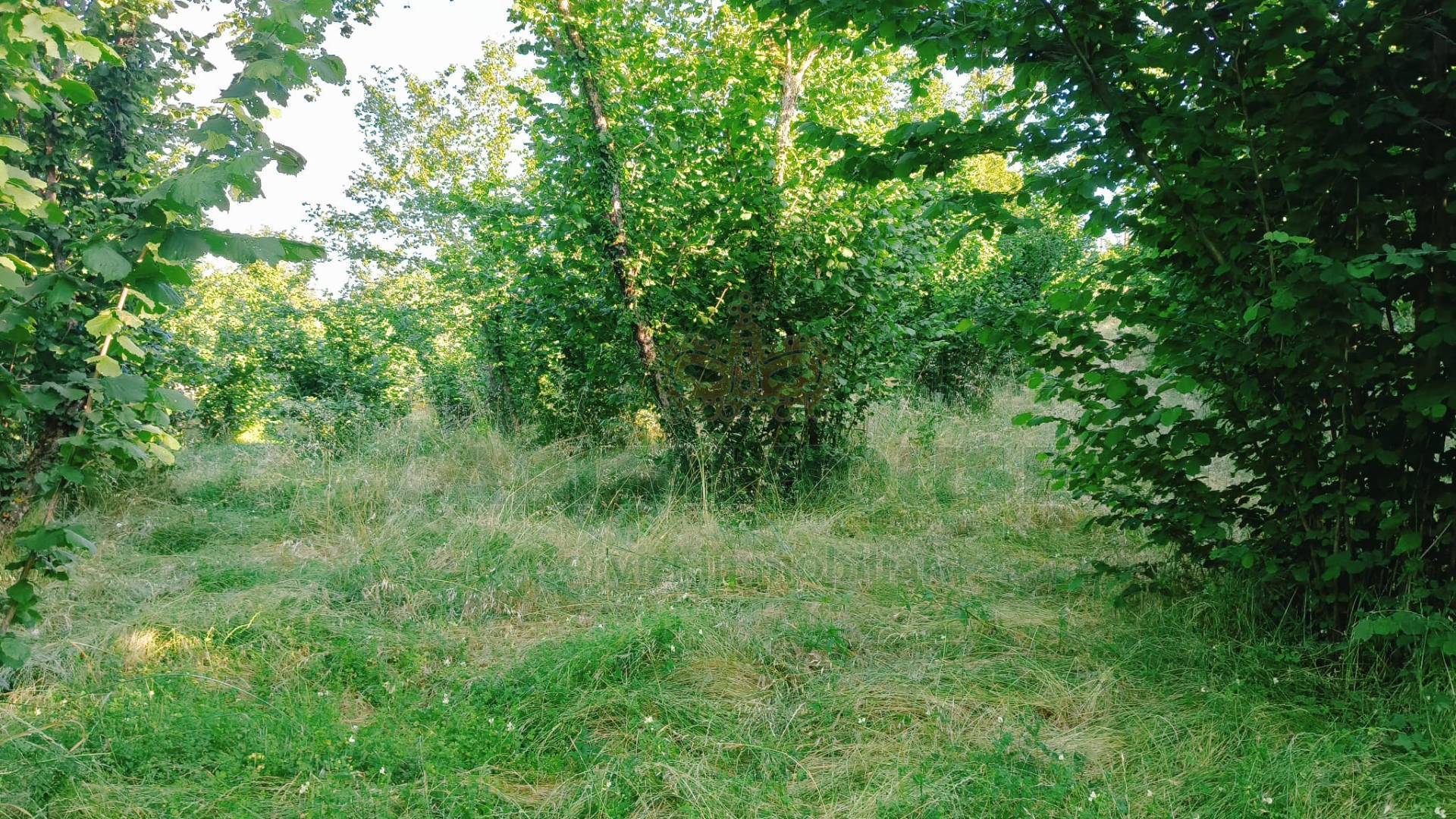 Terreno edificabile in vendita a Summonte, Starze