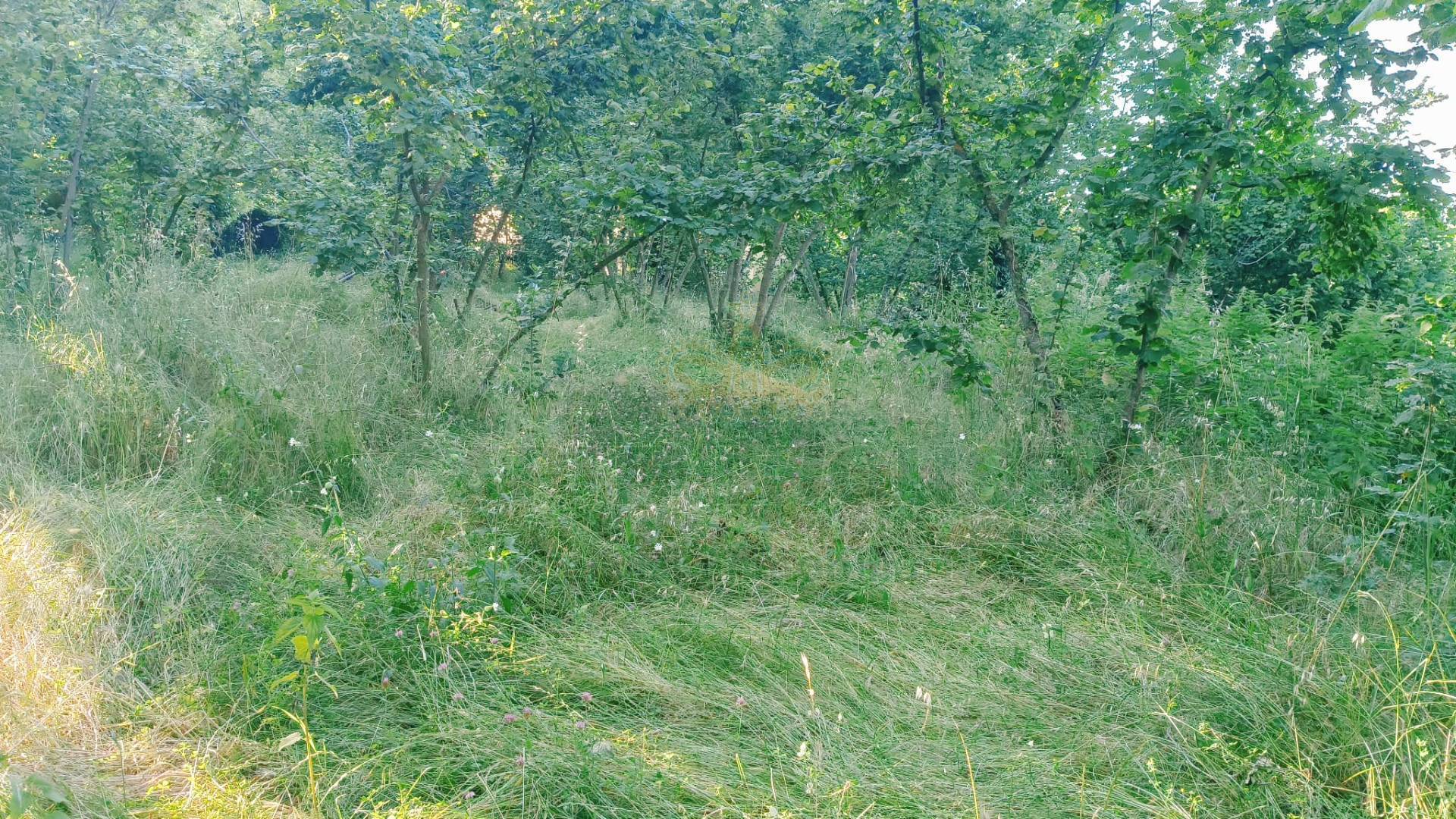 Terreno edificabile in vendita a Summonte, Starze