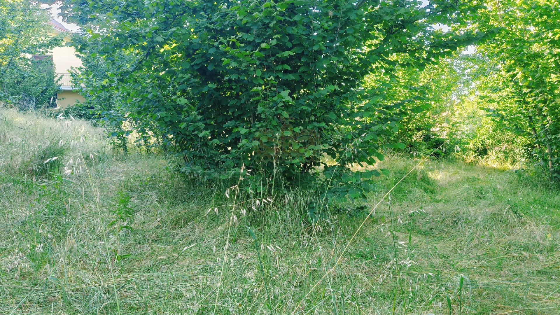 Terreno edificabile in vendita a Summonte, Starze