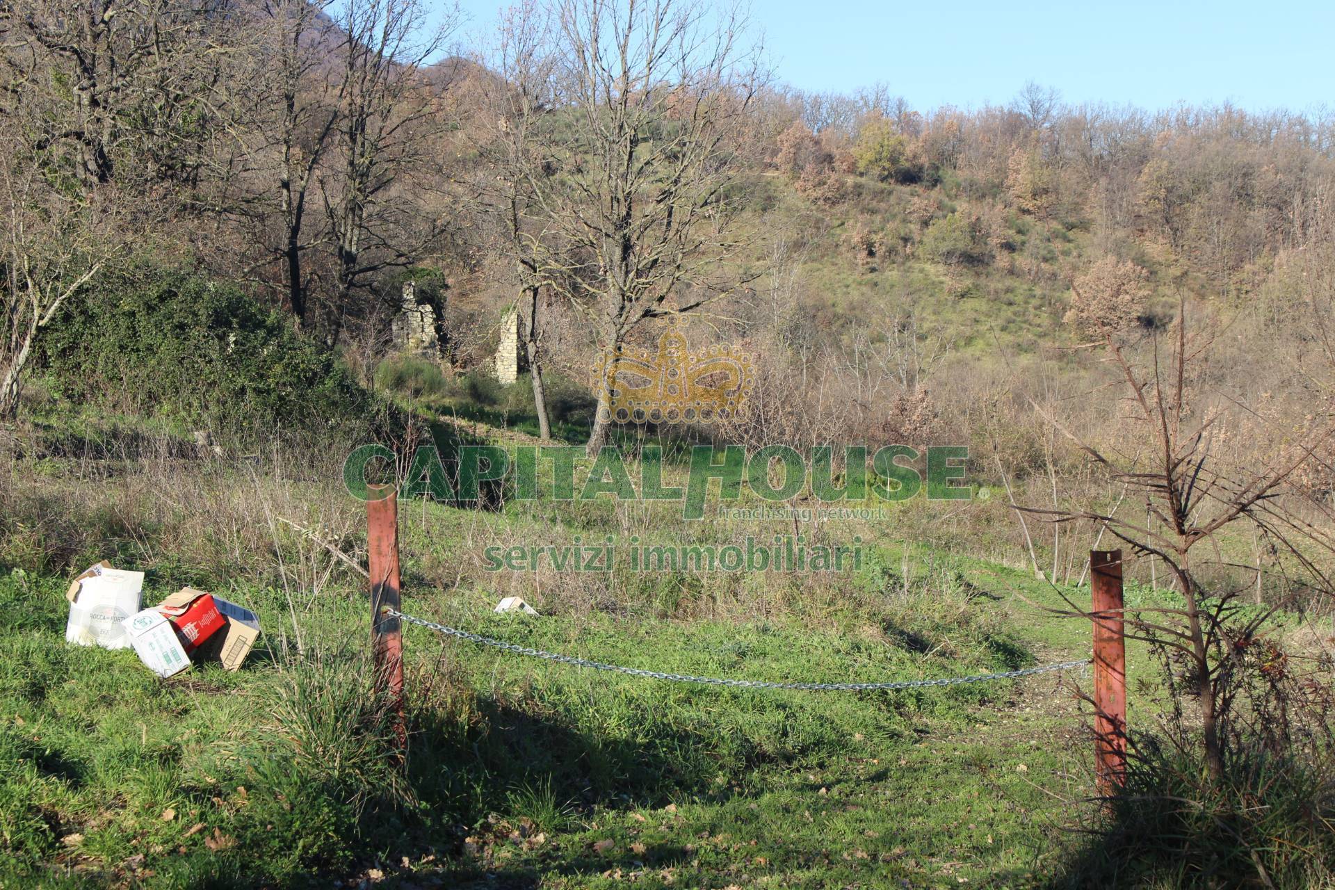 Terreno agricolo - Rudere in vendita a Capriglia Irpina