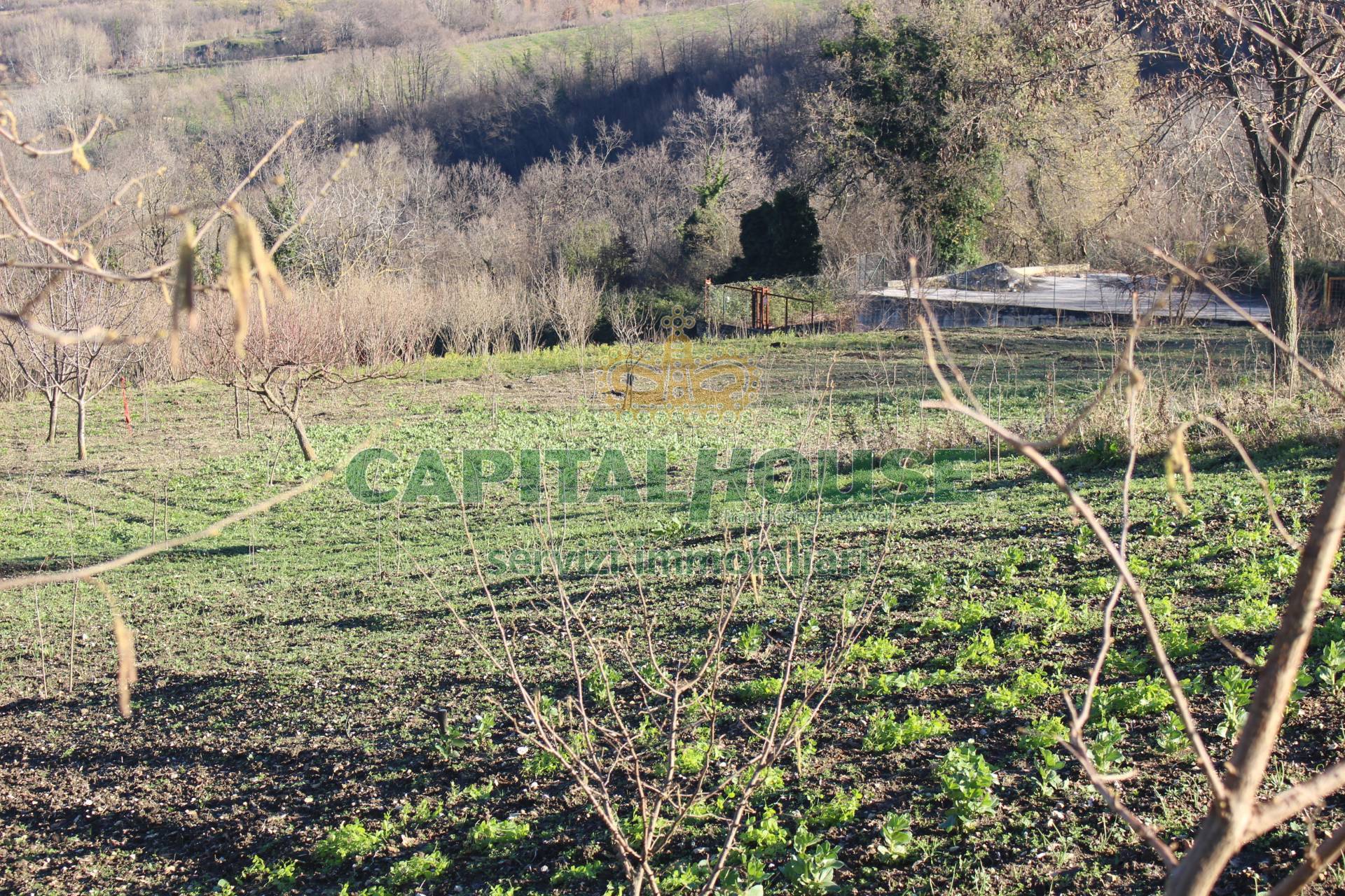 Terreno agricolo - Rudere in vendita a Capriglia Irpina