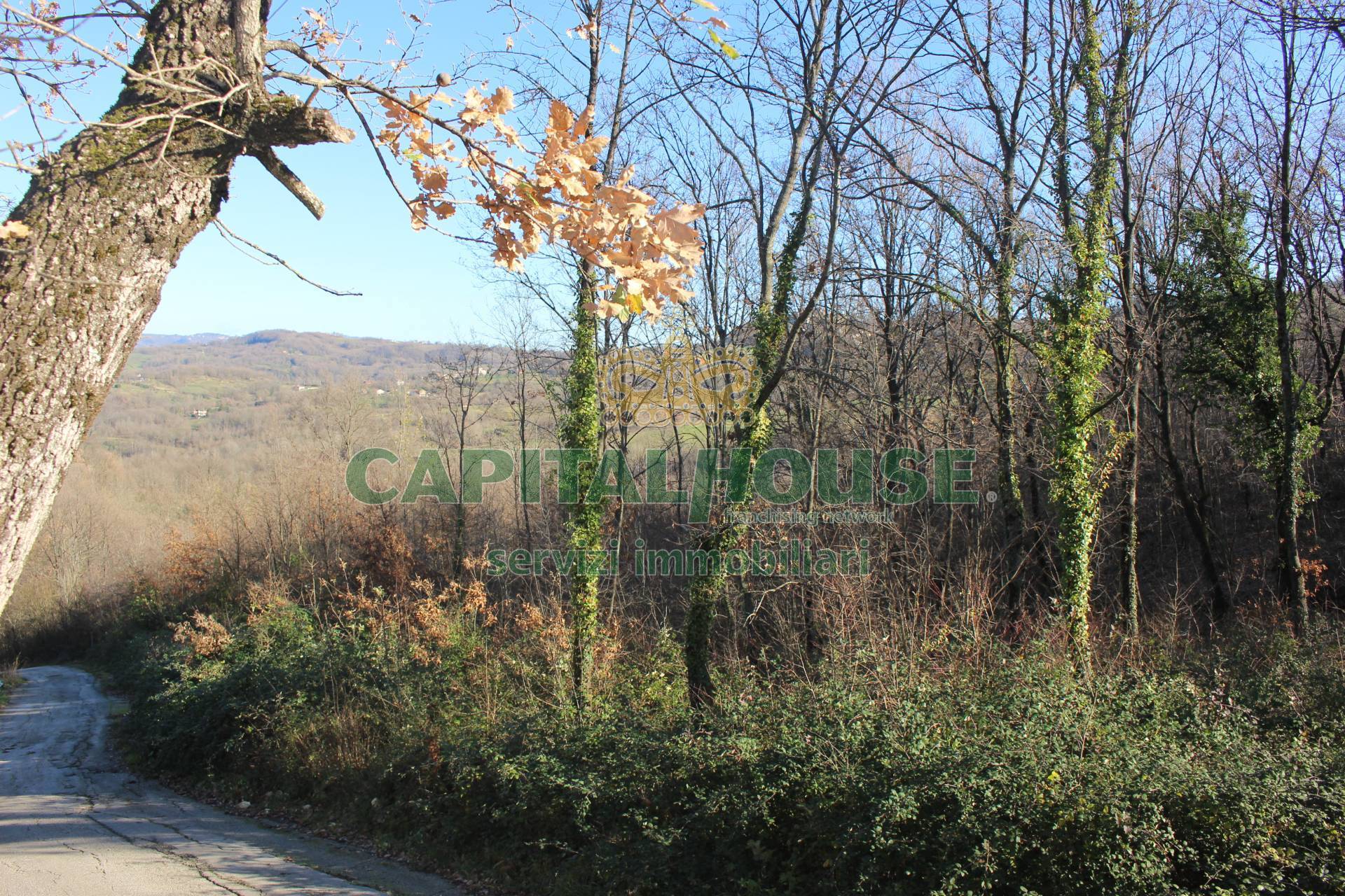 Terreno agricolo - Rudere in vendita a Capriglia Irpina