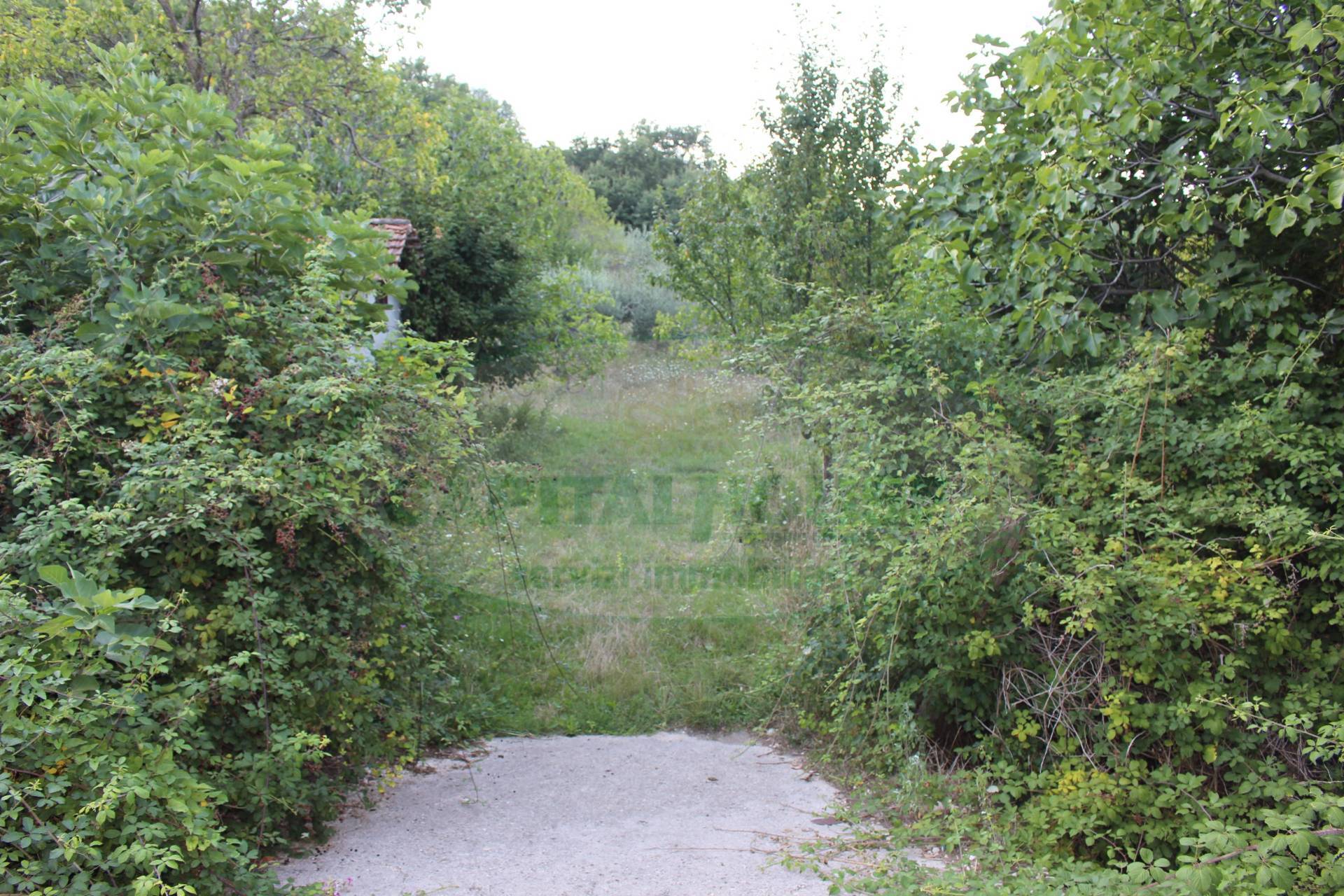Terreno agricolo in vendita a Sant'Angelo a Scala
