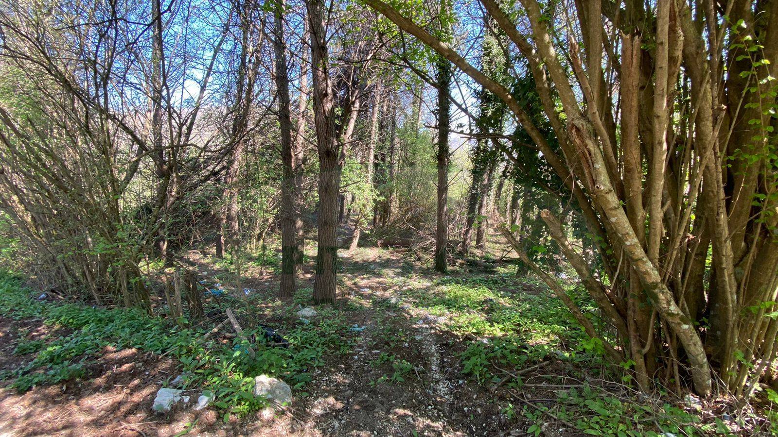 Terreno agricolo in vendita a Pietrastornina