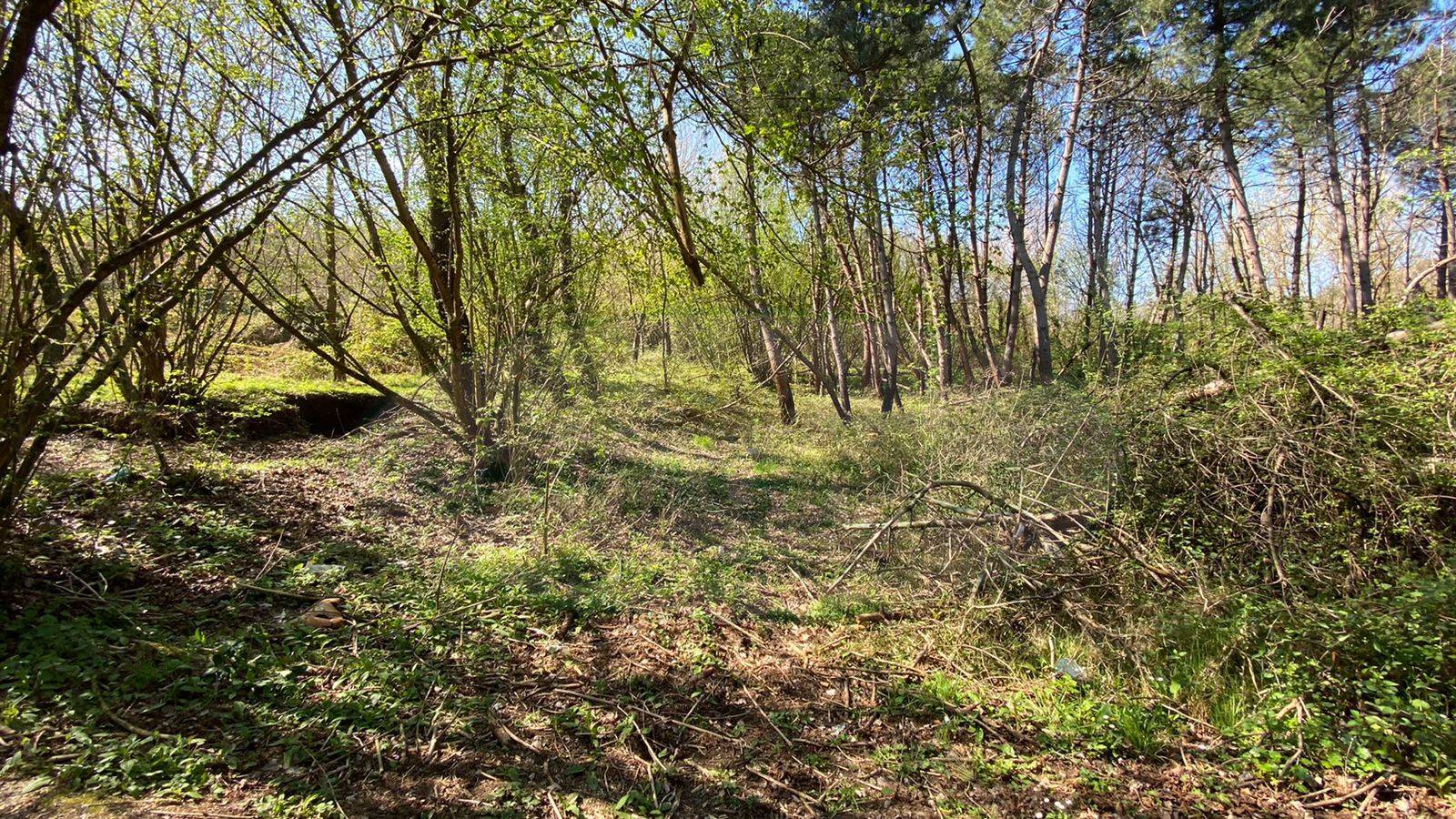 Terreno agricolo in vendita a Pietrastornina