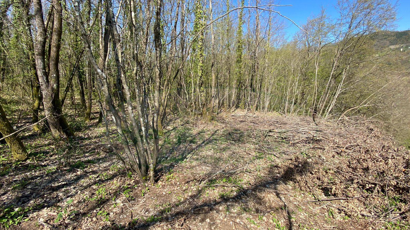 Terreno agricolo in vendita a Pietrastornina
