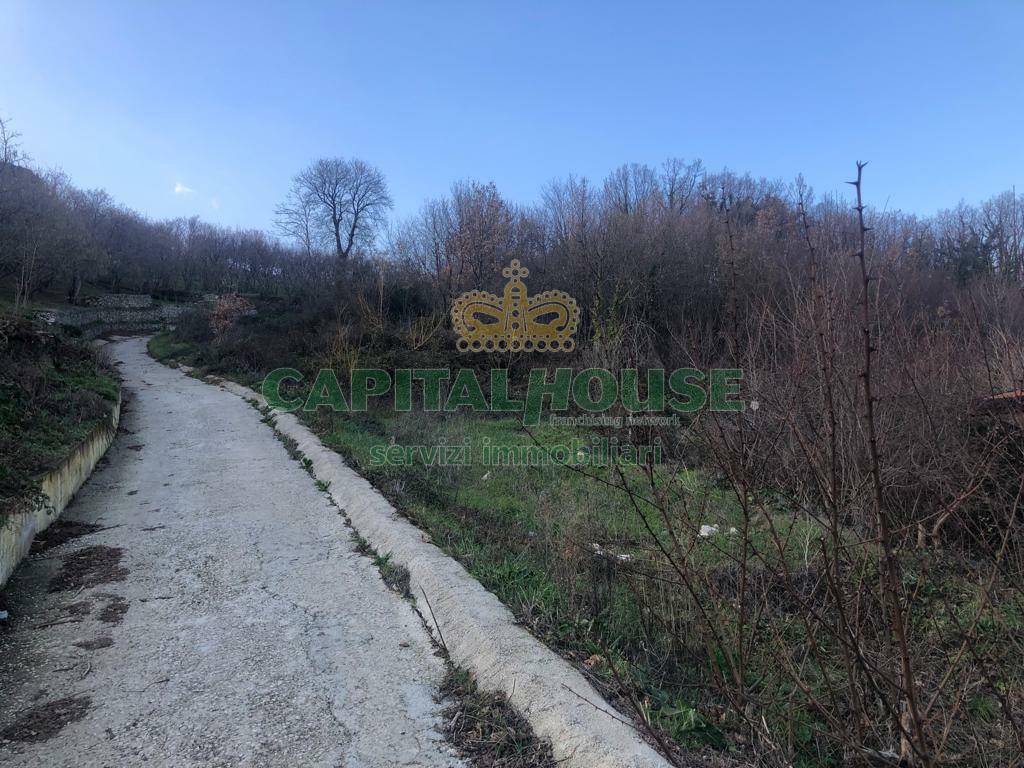 Terreno agricolo in vendita a Capriglia Irpina
