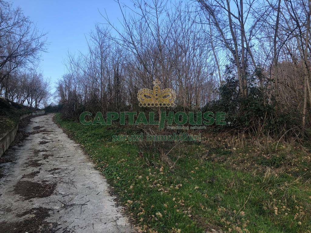 Terreno agricolo in vendita a Capriglia Irpina