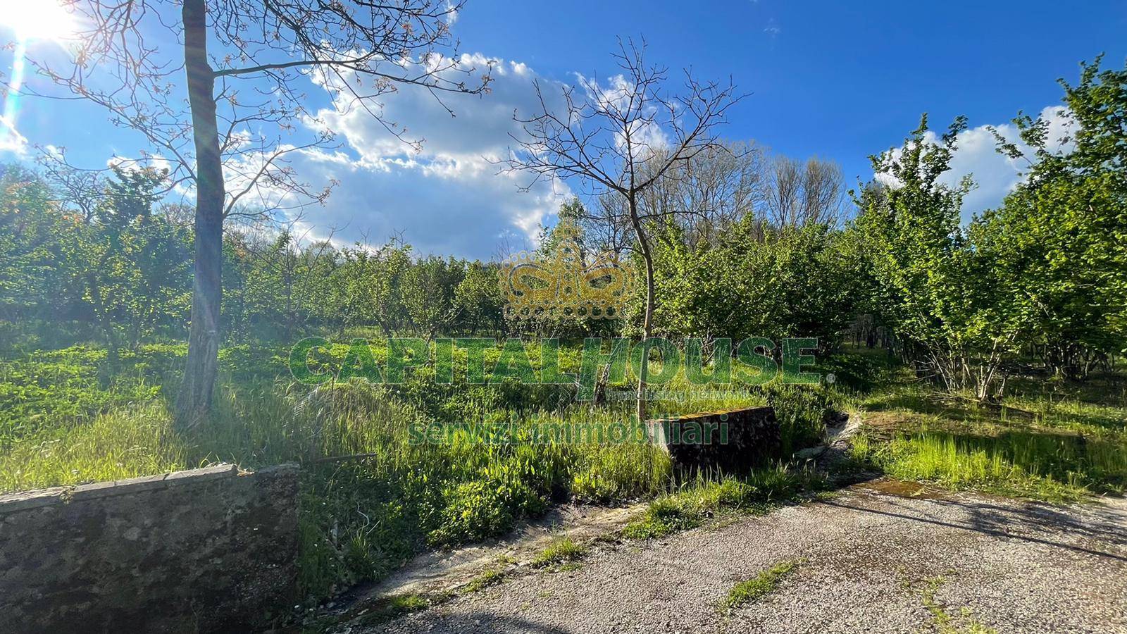 Terreno agricolo in vendita a Capriglia Irpina