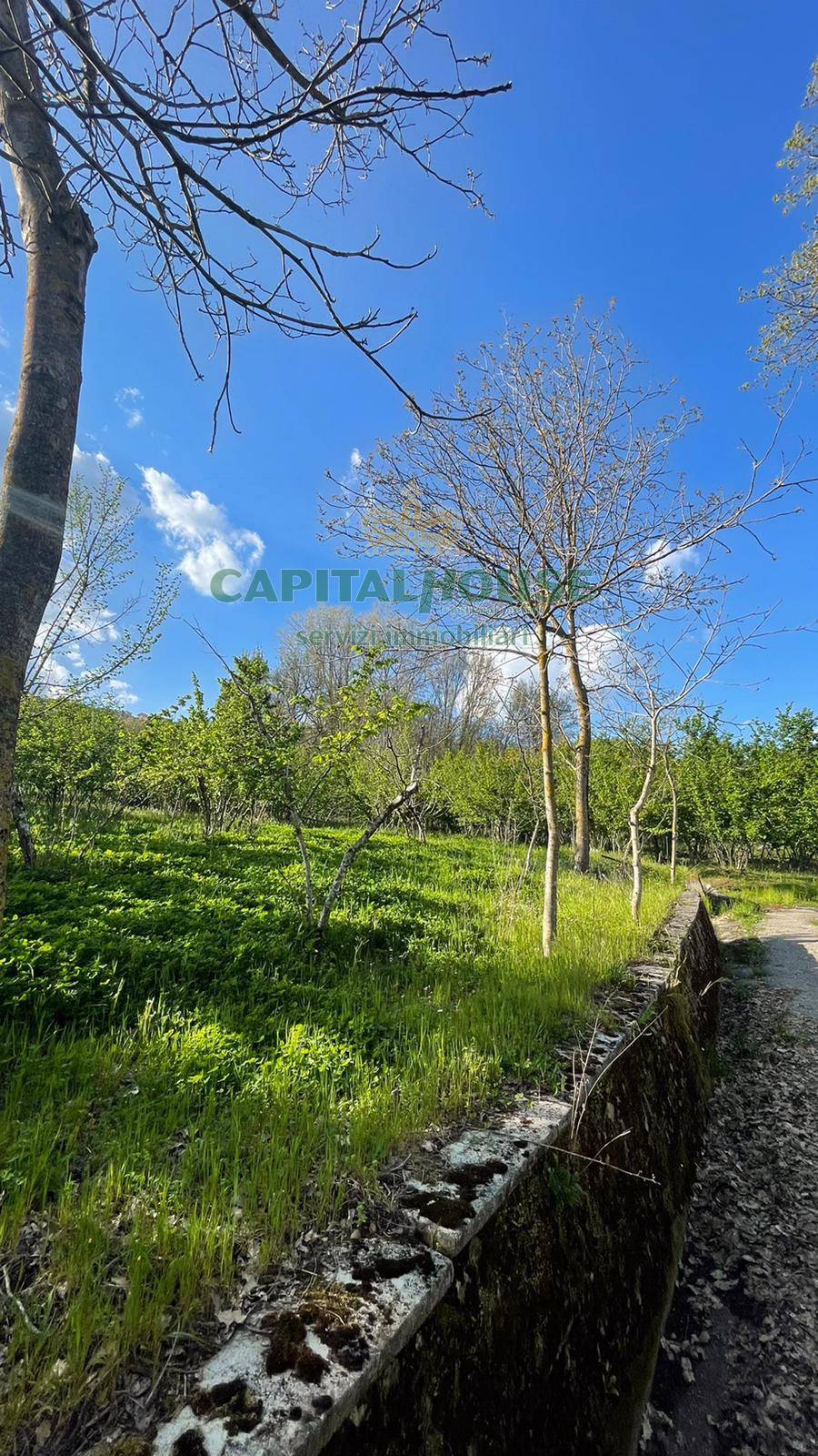 immagine annuncio 1 di 6