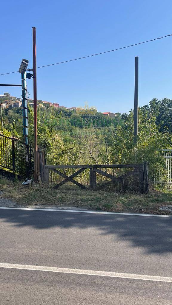 Terreno agricolo in vendita a Summonte