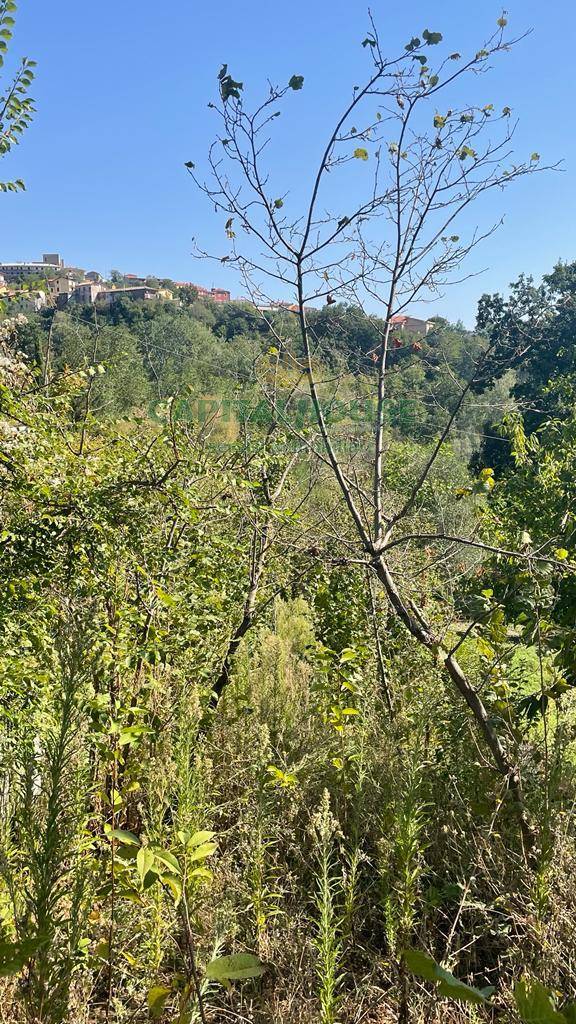 Terreno agricolo in vendita a Summonte