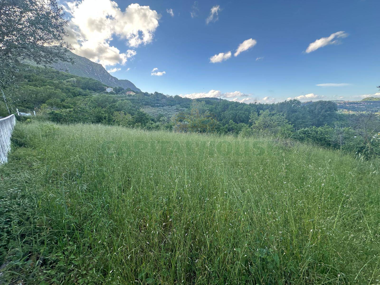 Terreno agricolo in vendita a Ospedaletto d'Alpinolo