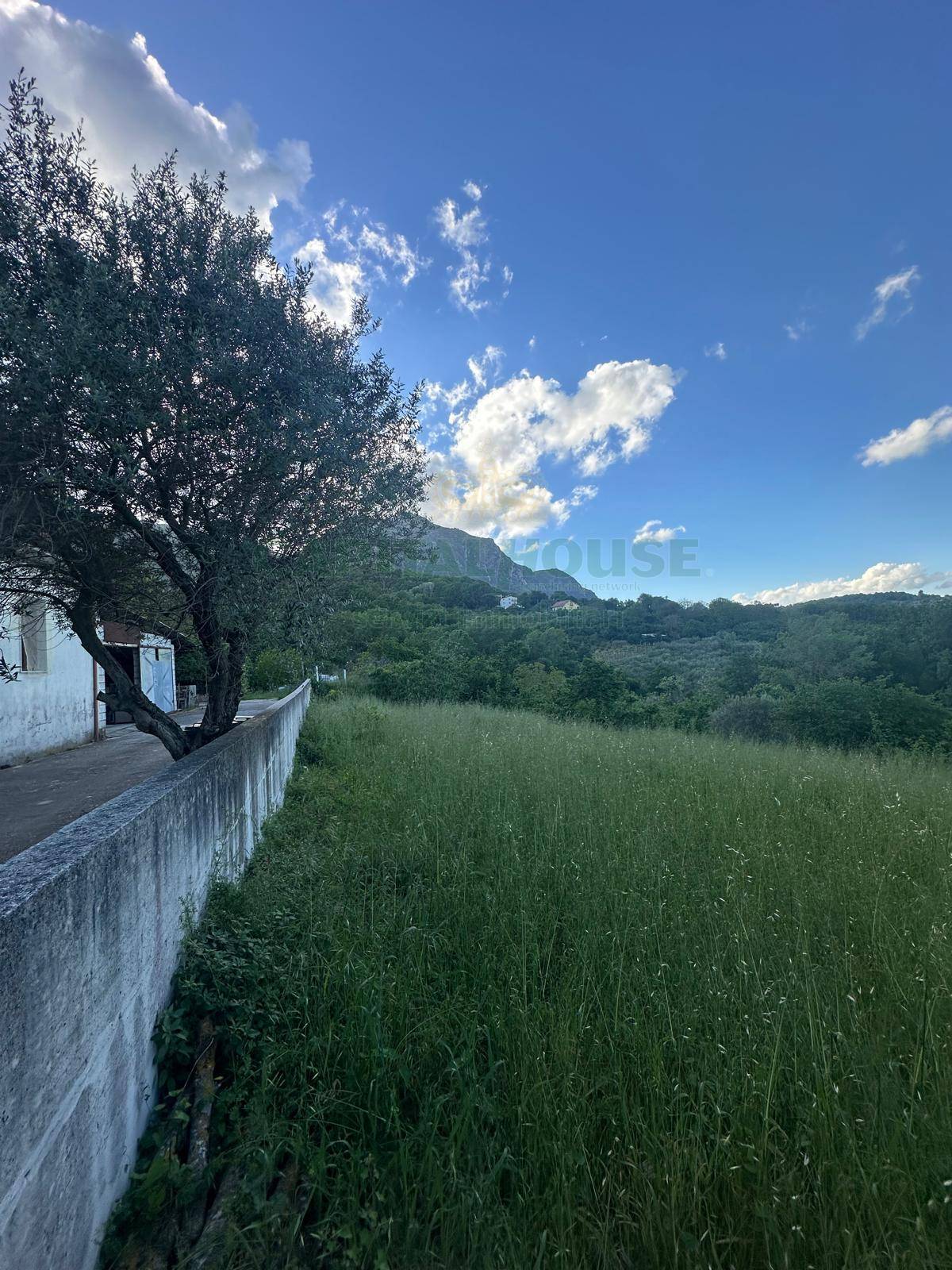 Terreno agricolo in vendita a Ospedaletto d'Alpinolo