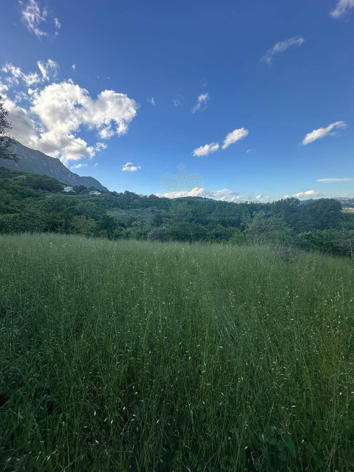 Terreno agricolo in vendita a Ospedaletto d'Alpinolo